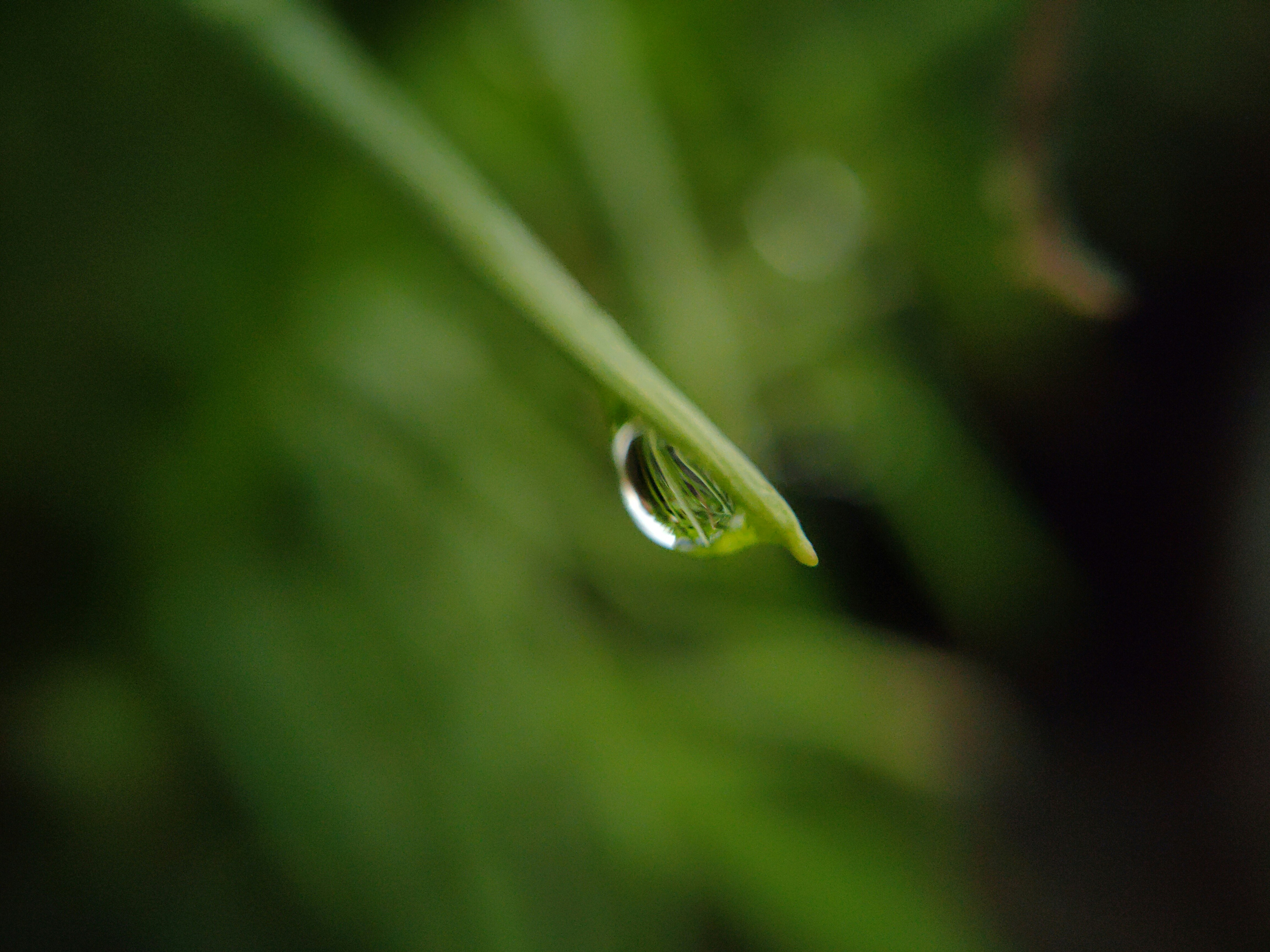 Photo by sujaypaulsp