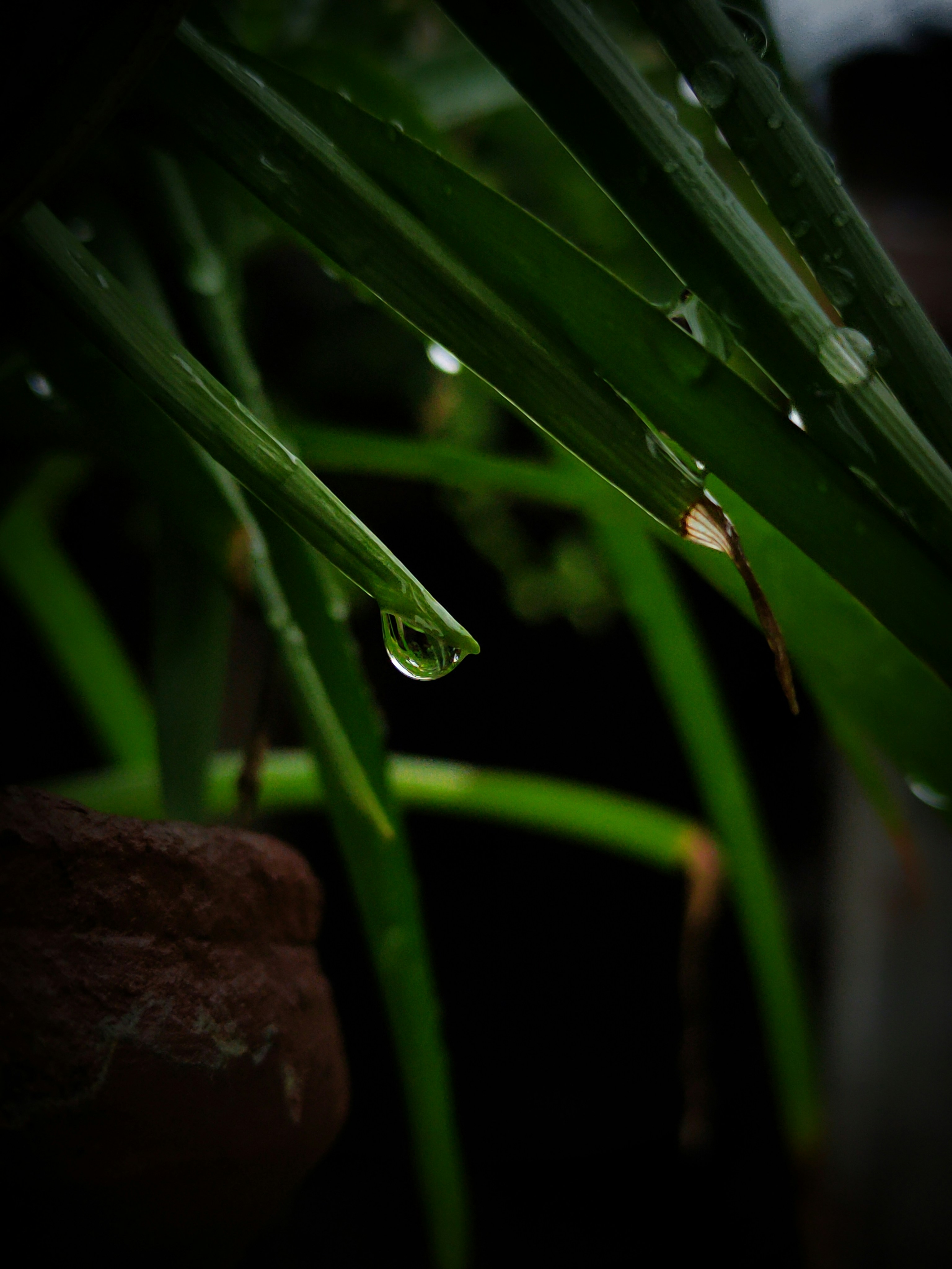 Photo by sujaypaulsp