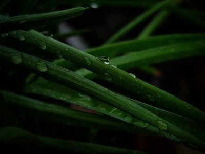 Close-up of a sleek bioclimatizer vent with water droplets showing cooling effect.