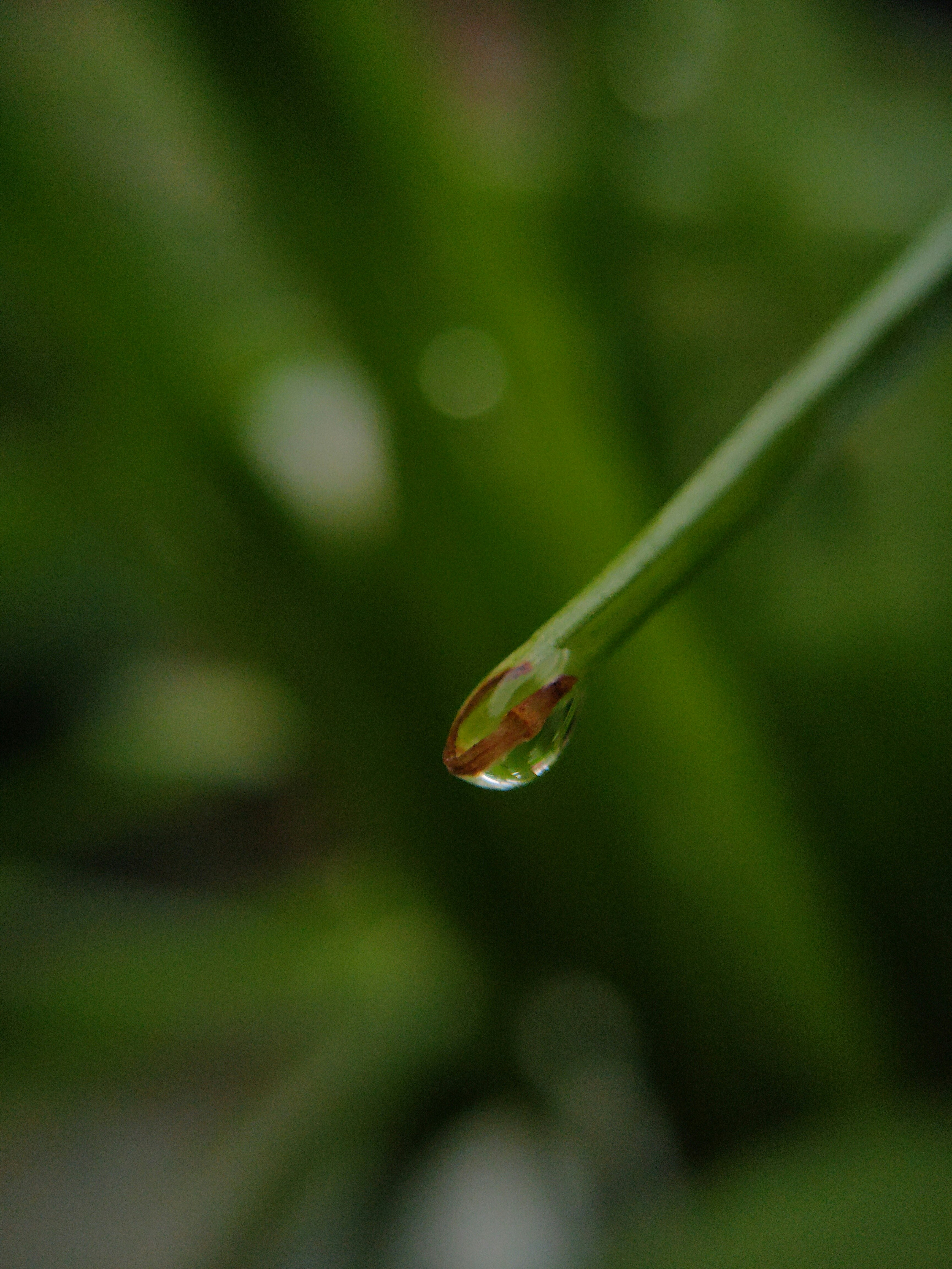 Photo by sujaypaulsp