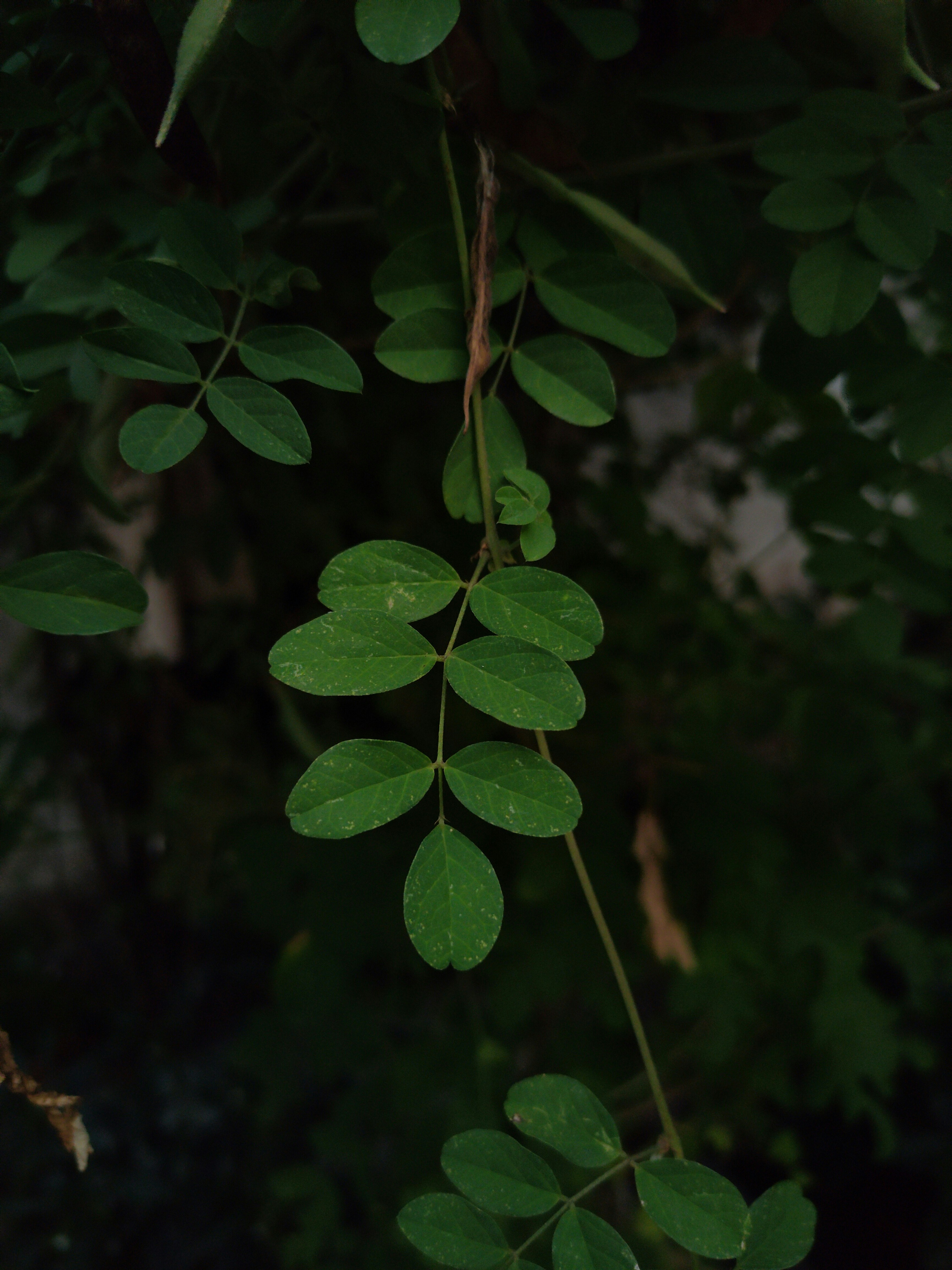 Photo by sujaypaulsp