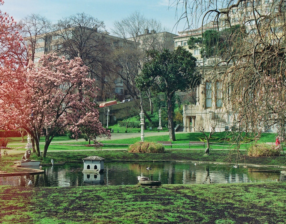 a pond in a park with a building in the background