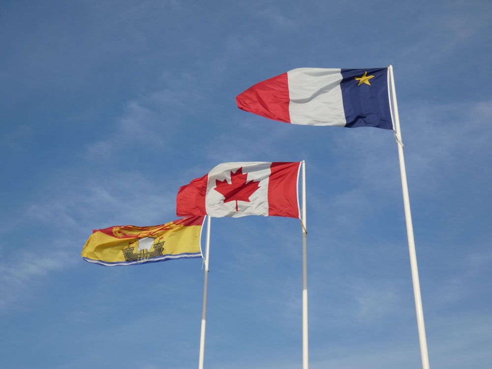 three canadian and canadian flags flying in the wind