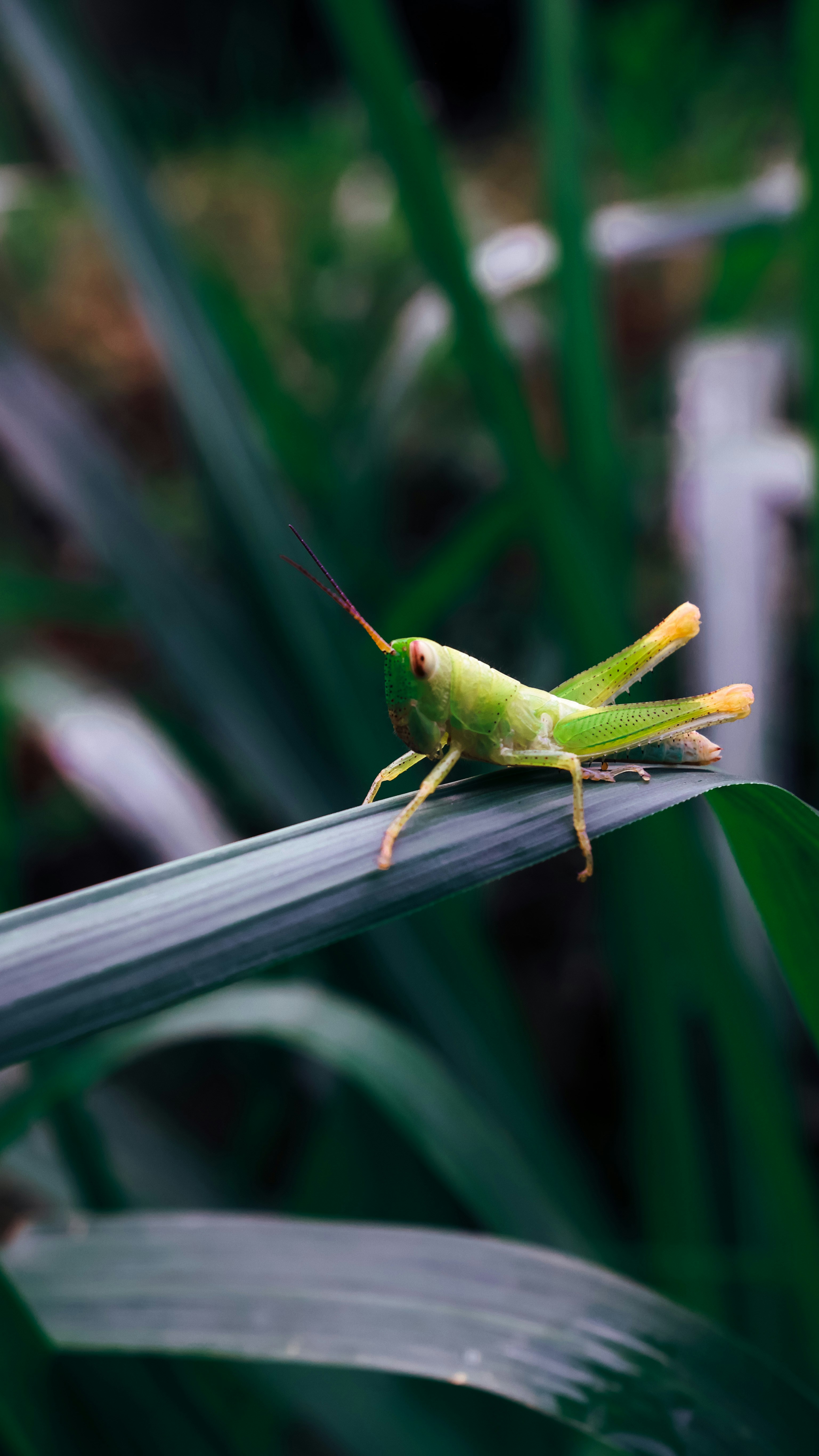 Photo by dickenslin76