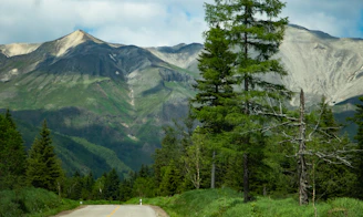 A scenic landscape with a winding road leading to distant mountains.