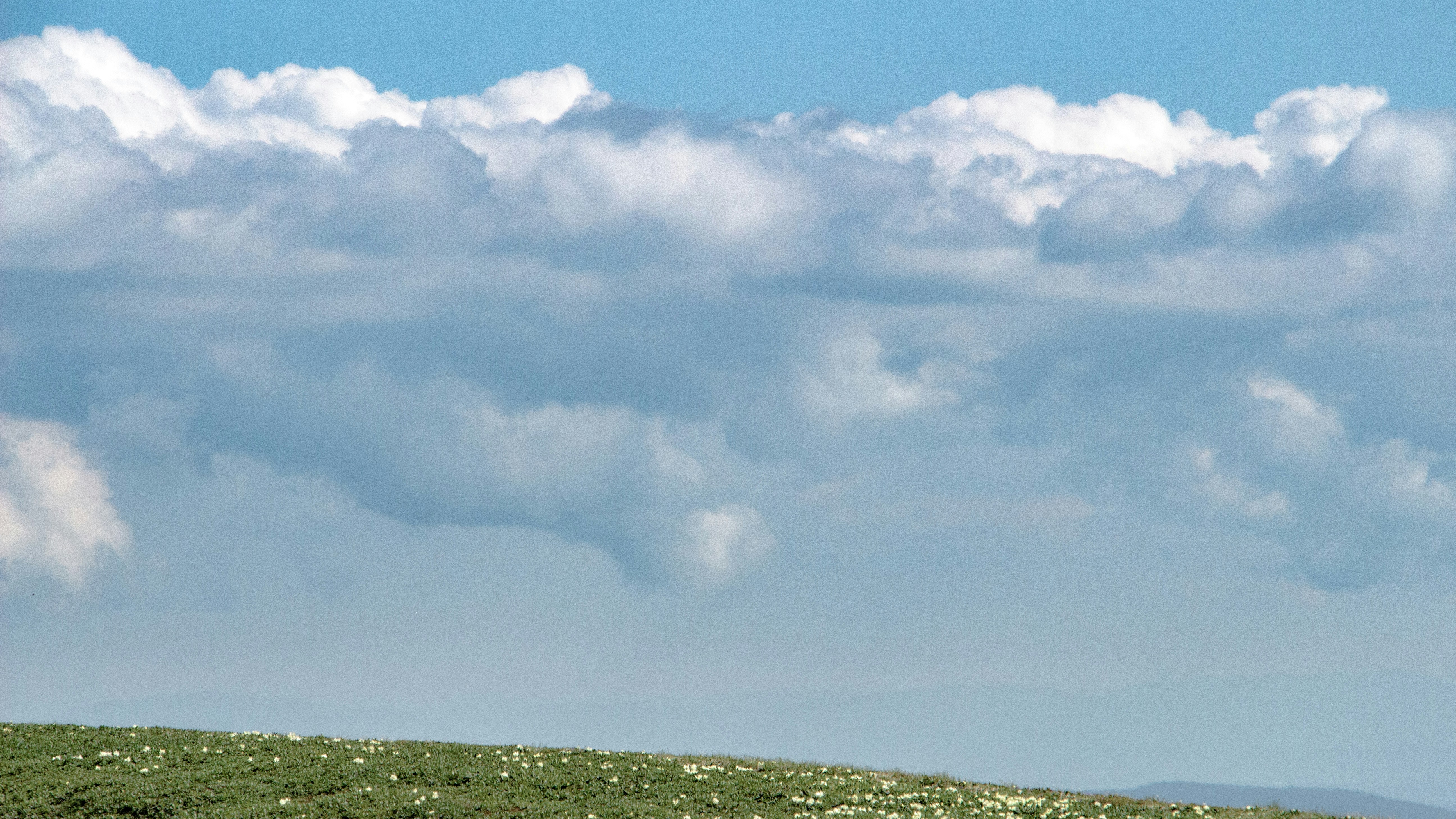 Photo by maro_of_sengu