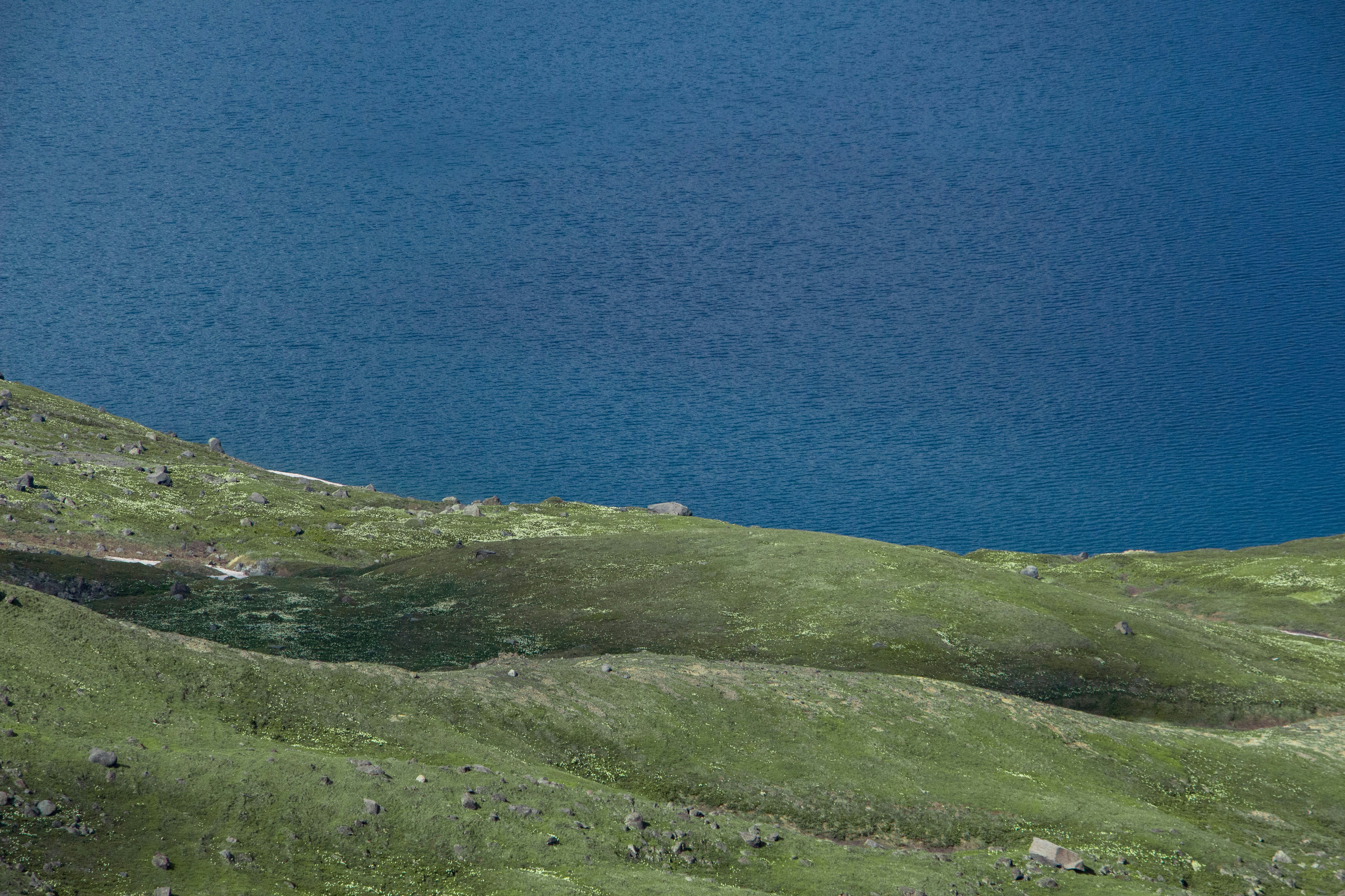 Photo by maro_of_sengu