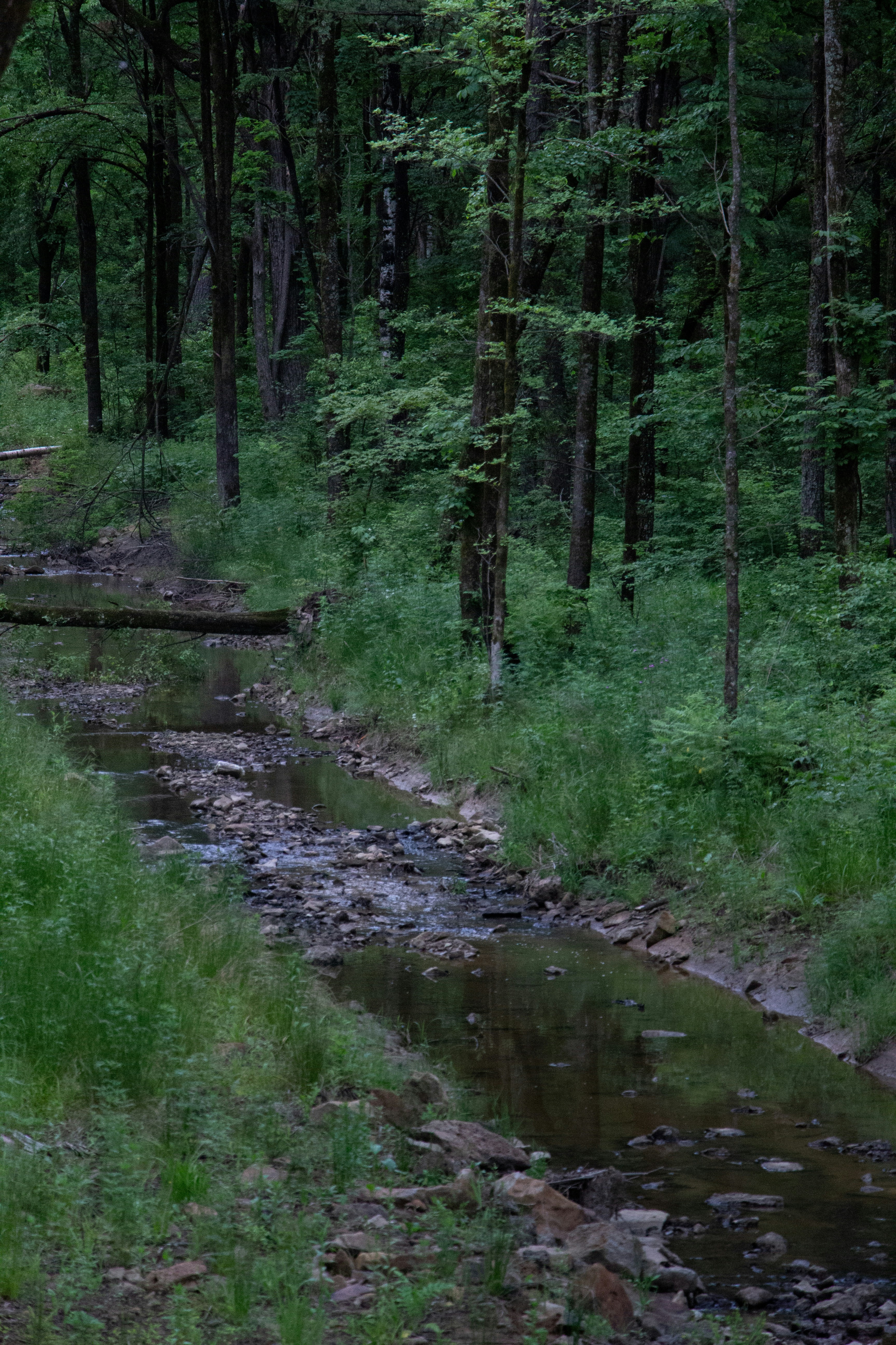 Photo by maro_of_sengu