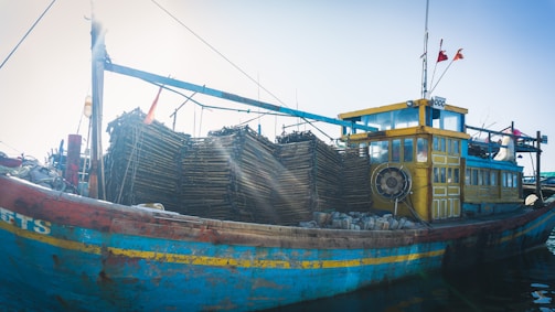 A vibrant fishing boat unloading a fresh catch of seer fish at dawn.