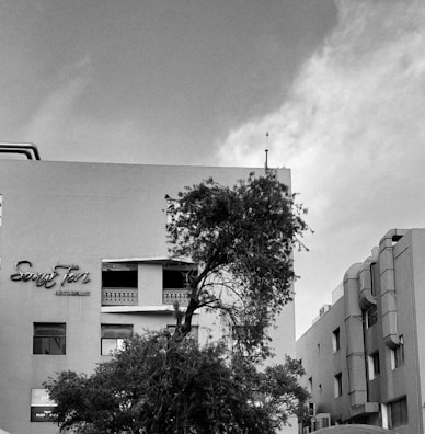 A black and white photograph of a building with a tree in the foreground. The building has a sign that reads 'restaurant' and features multiple windows and architectural details. The sky is slightly overcast, creating a muted atmosphere.