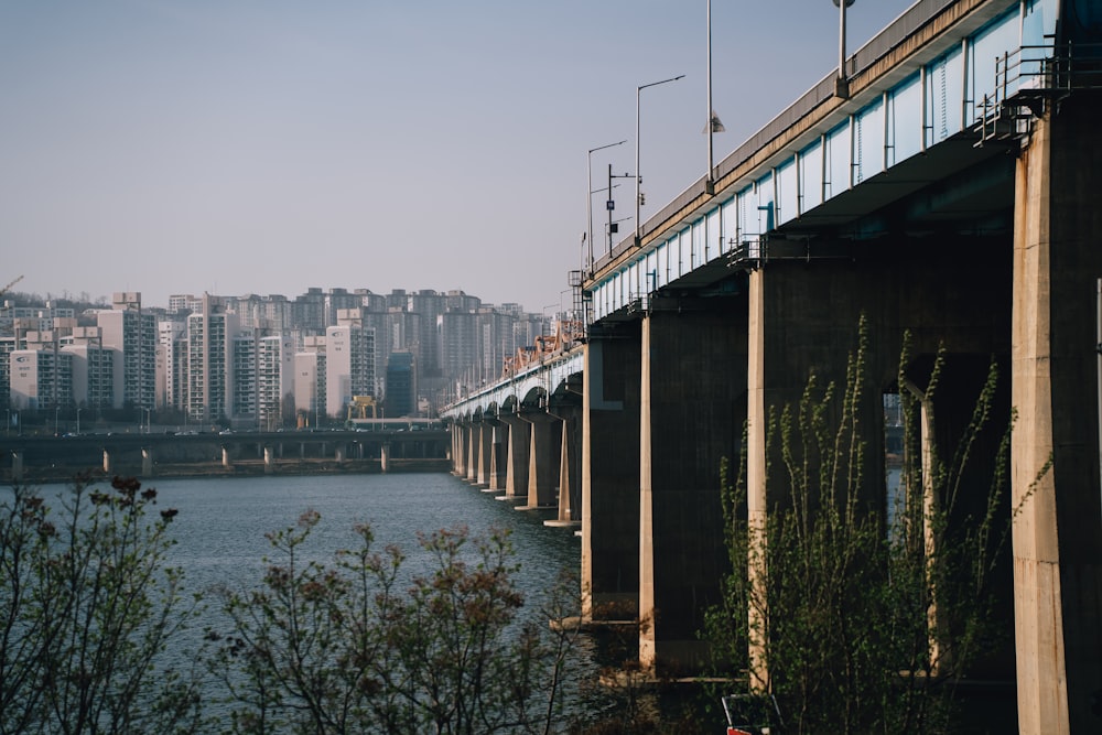 a bridge over a body of water with tall buildings in the background