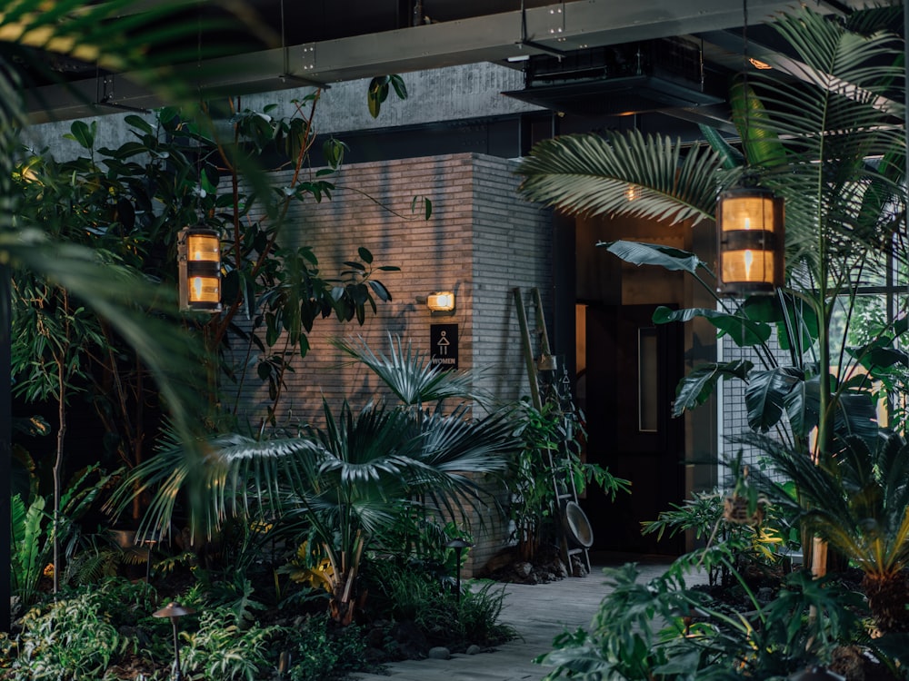 a building with a bunch of plants in front of it