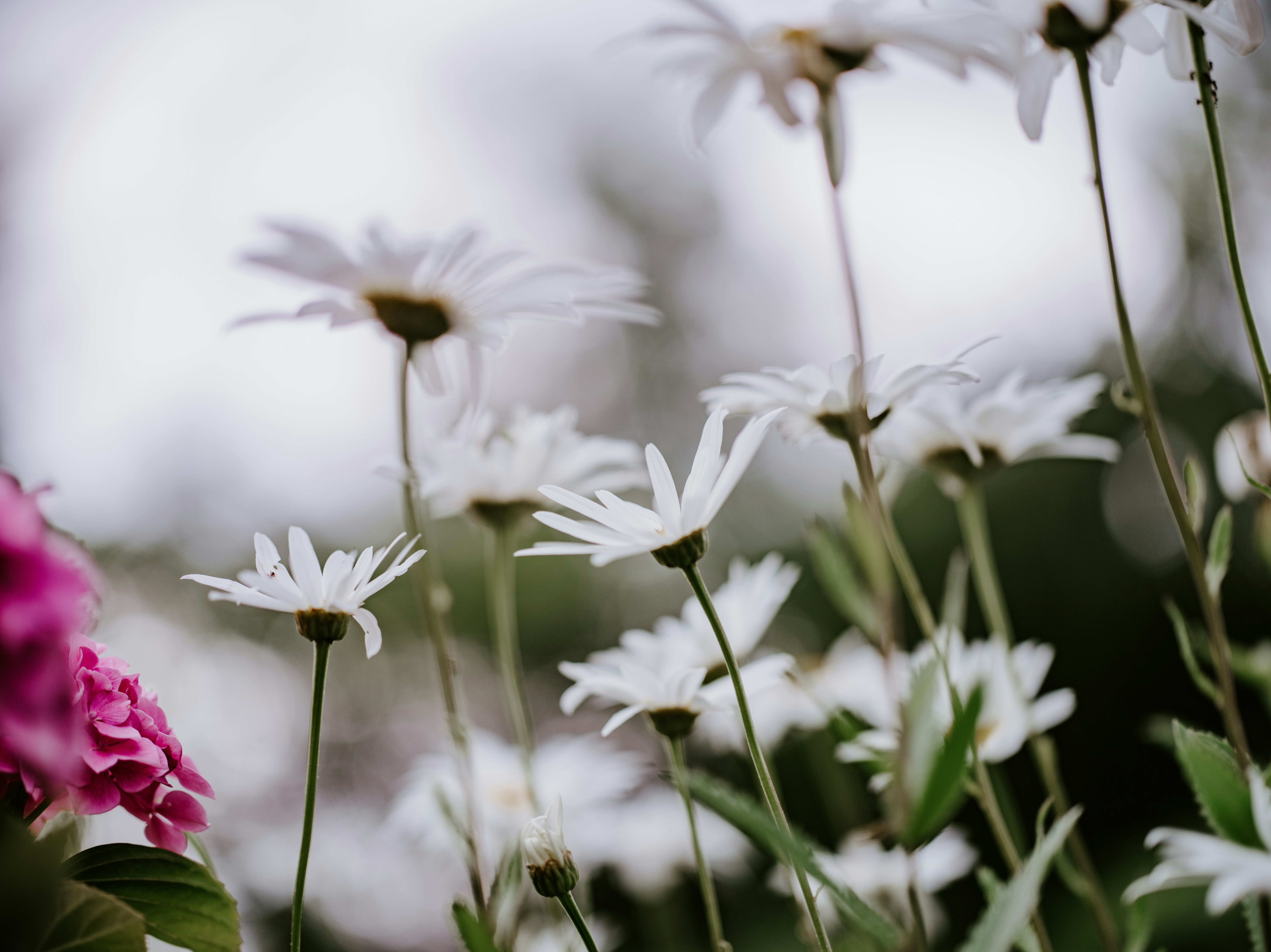 Photo by anniespratt