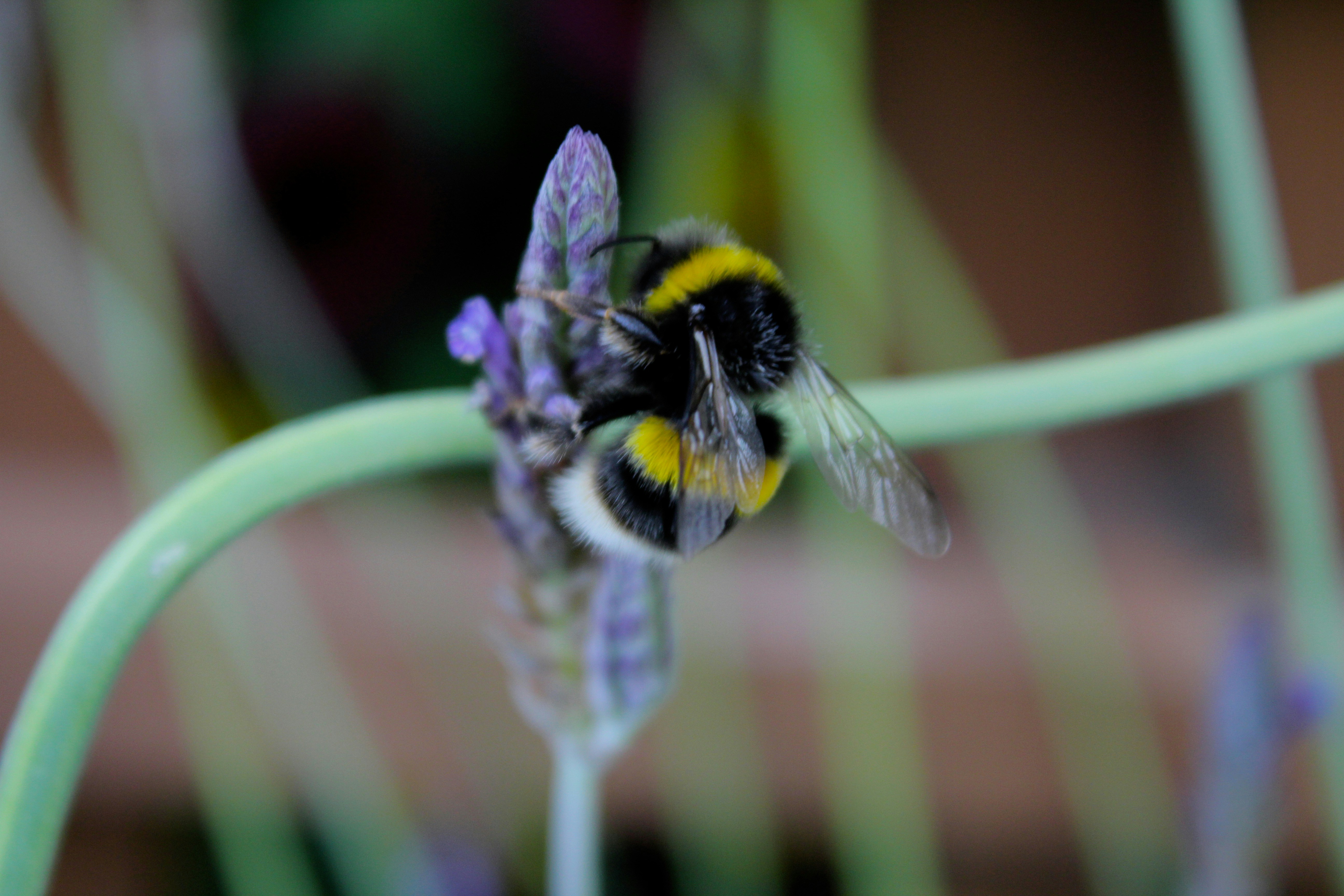 Photo by julia_fiander