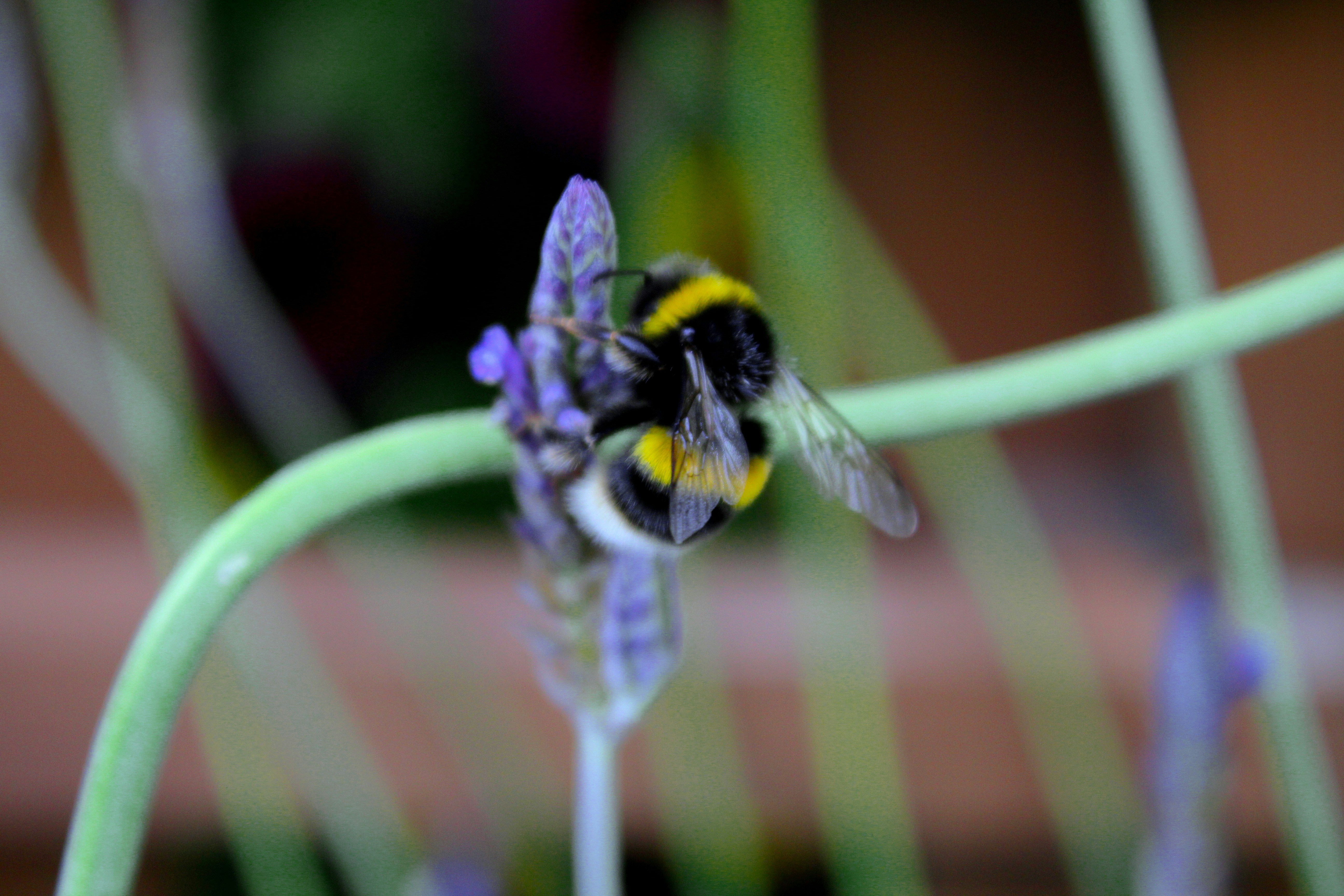 All the small things