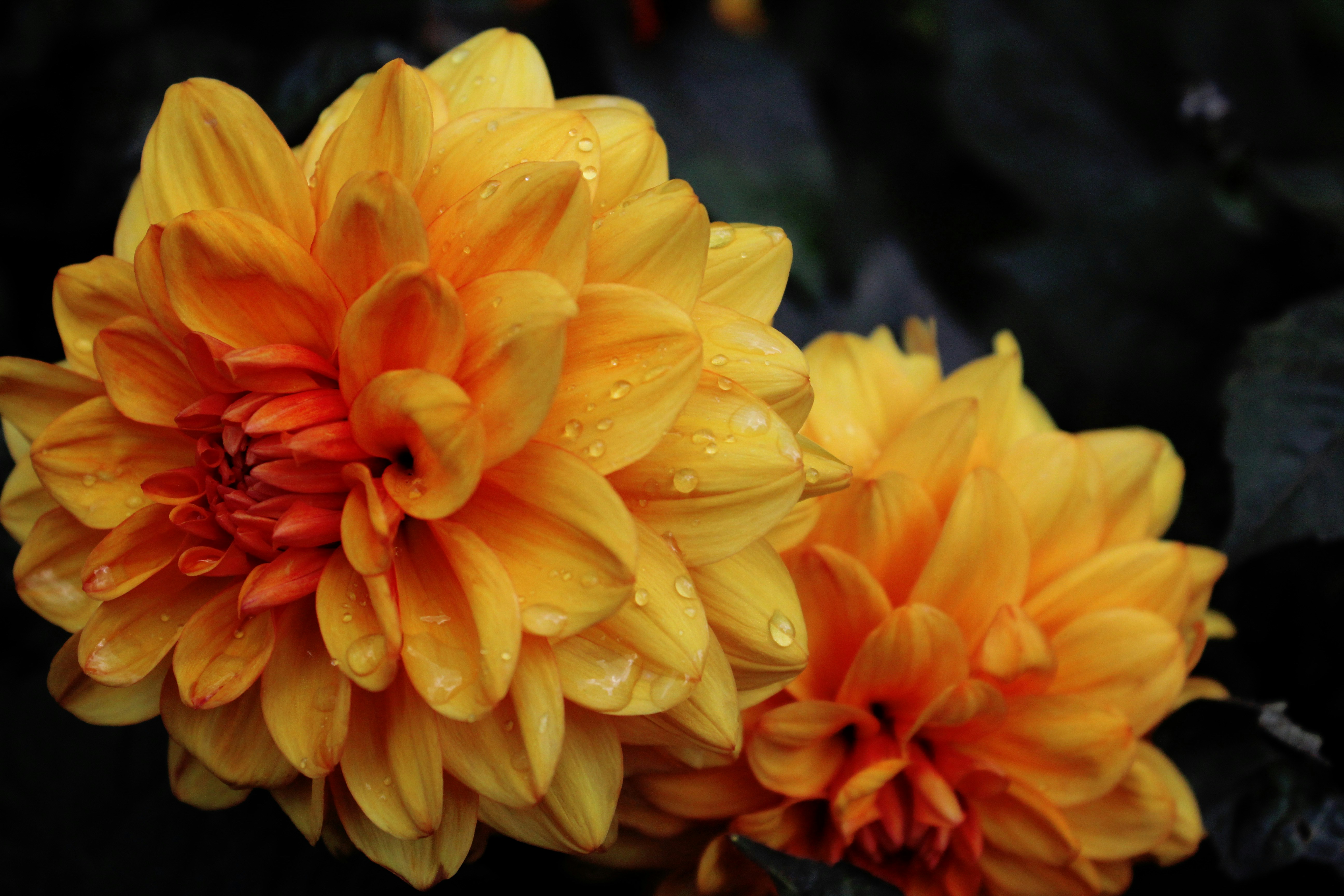 Photo by julia_fiander