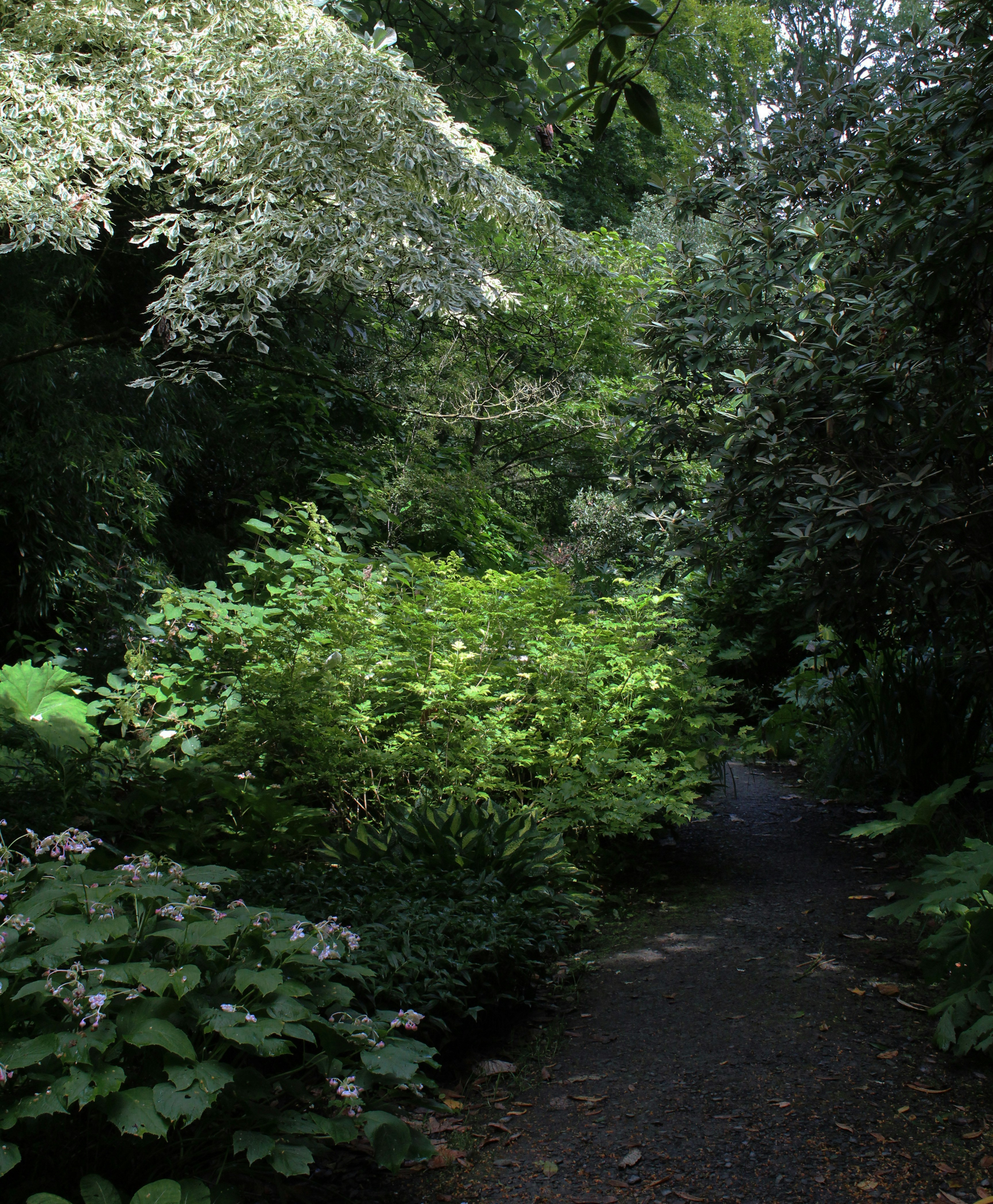 Photo by julia_fiander