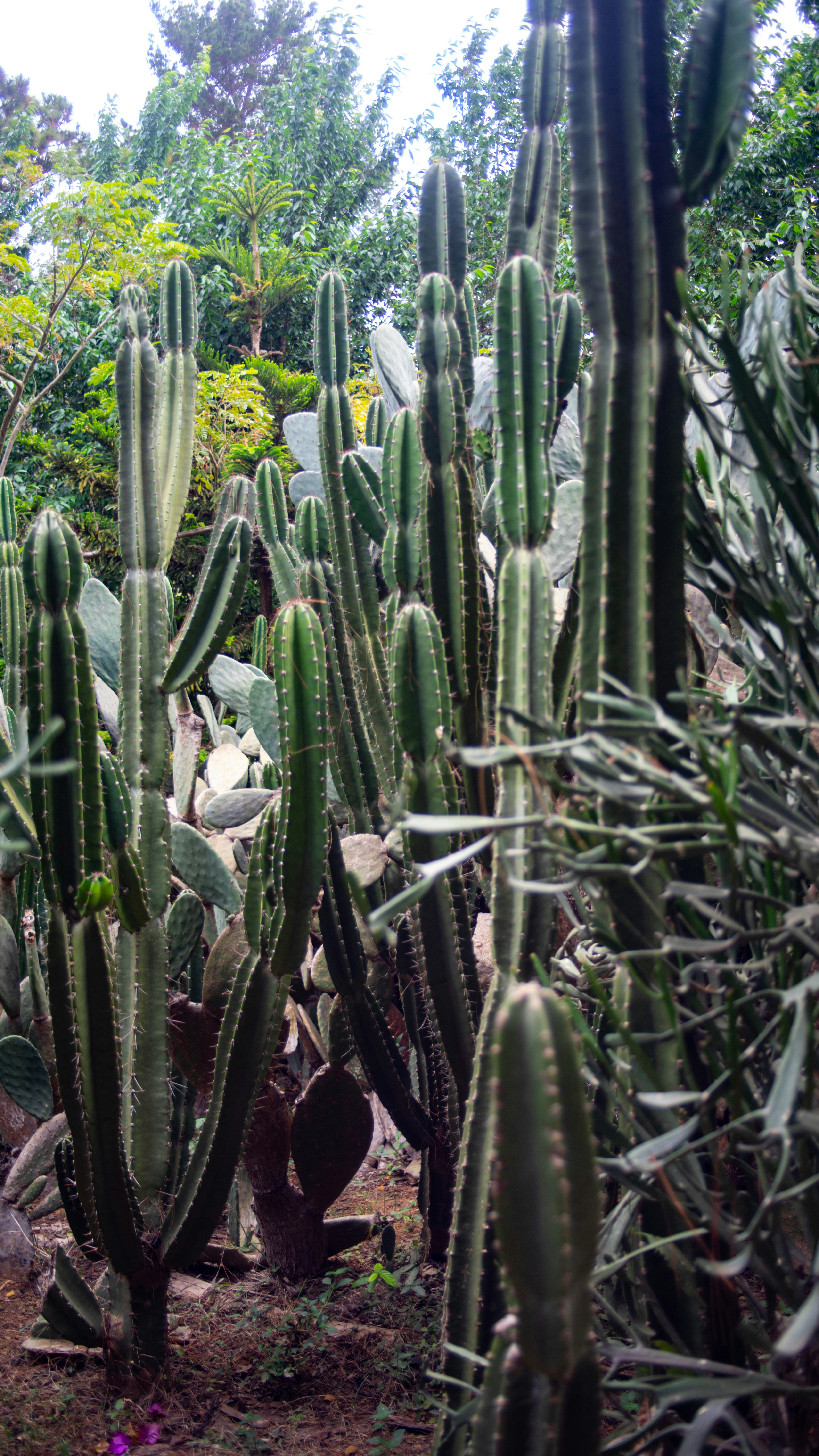 Photo by alekseyryan