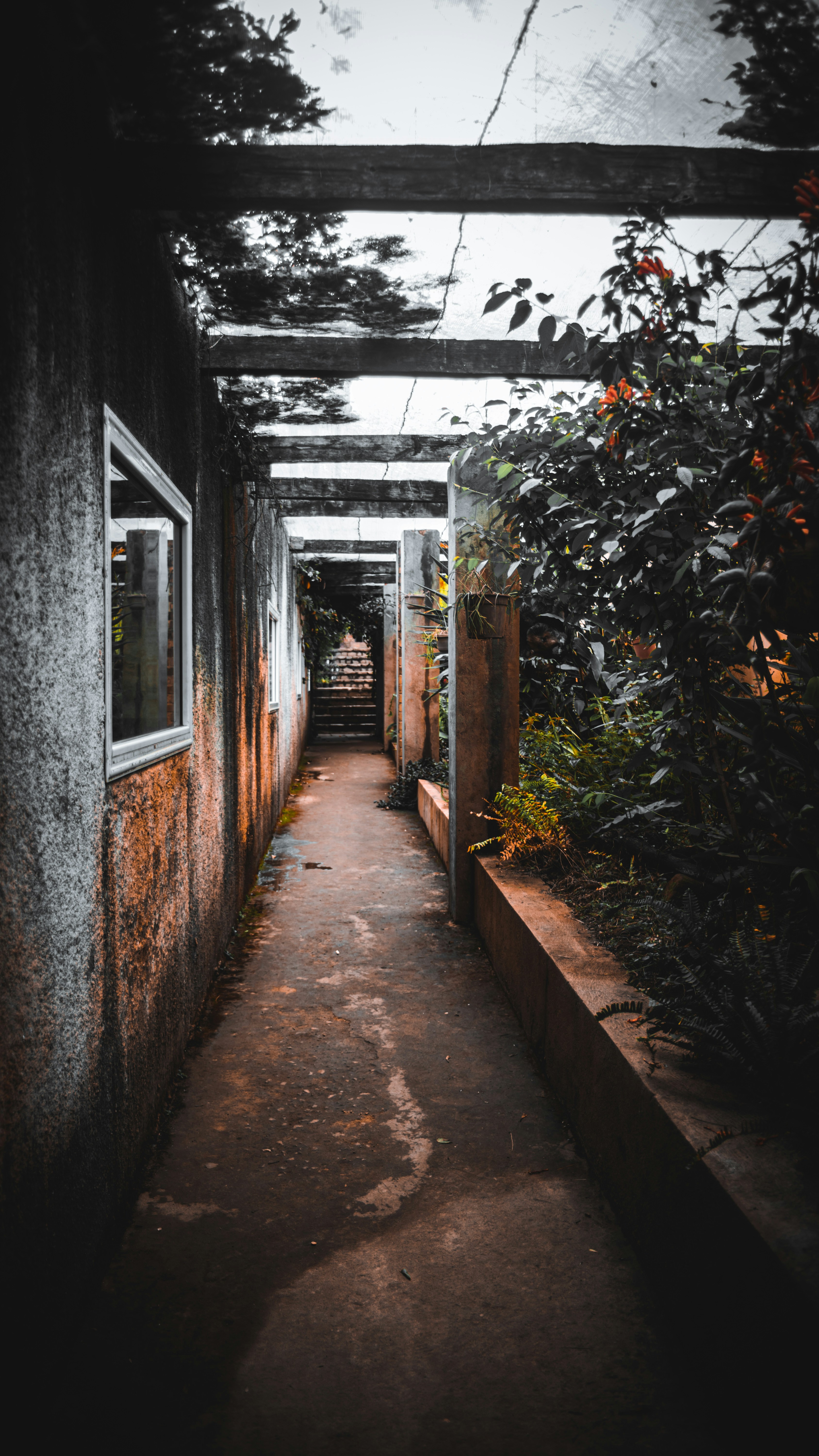 Photo by alekseyryan