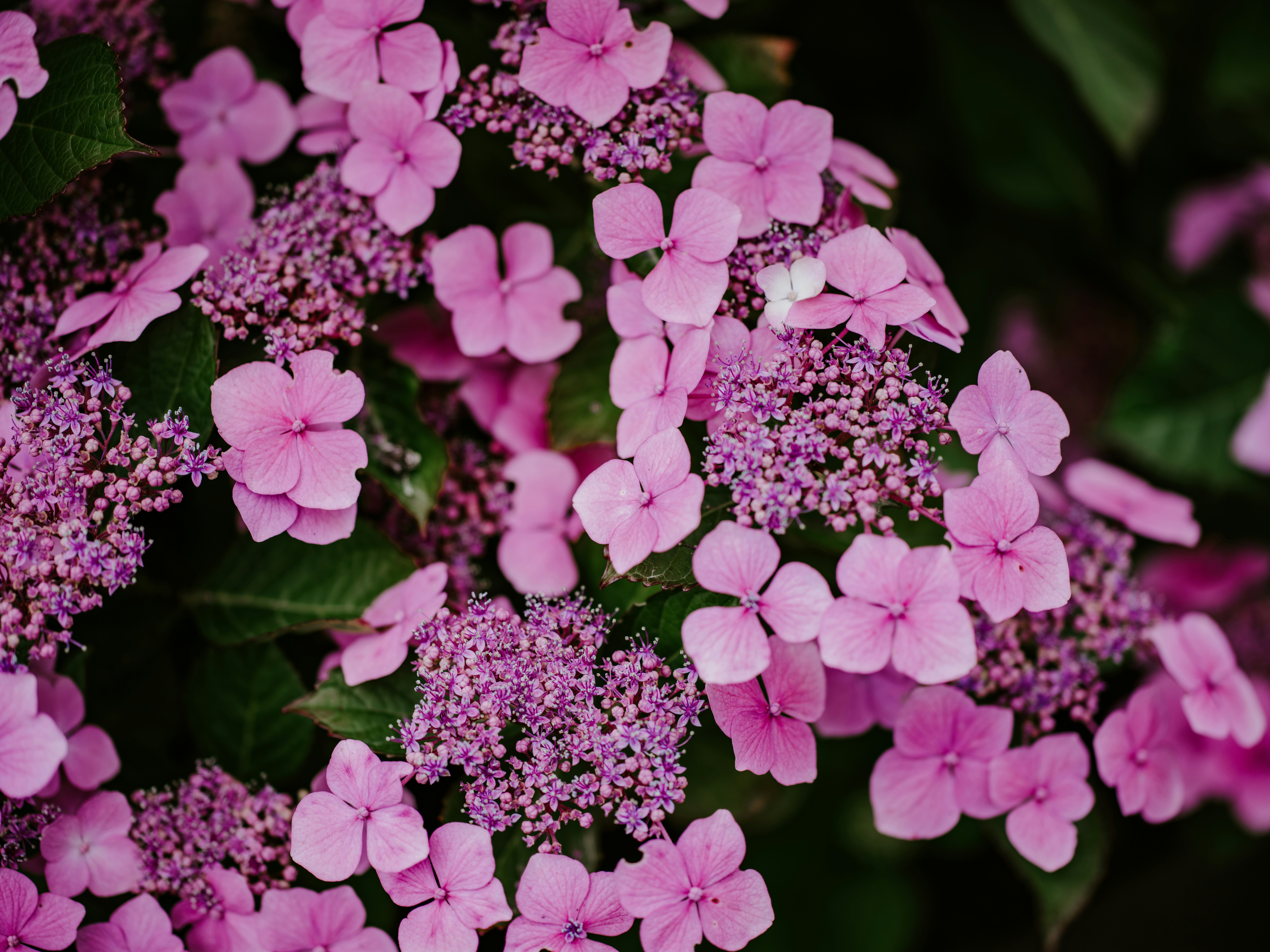 Photo by anniespratt