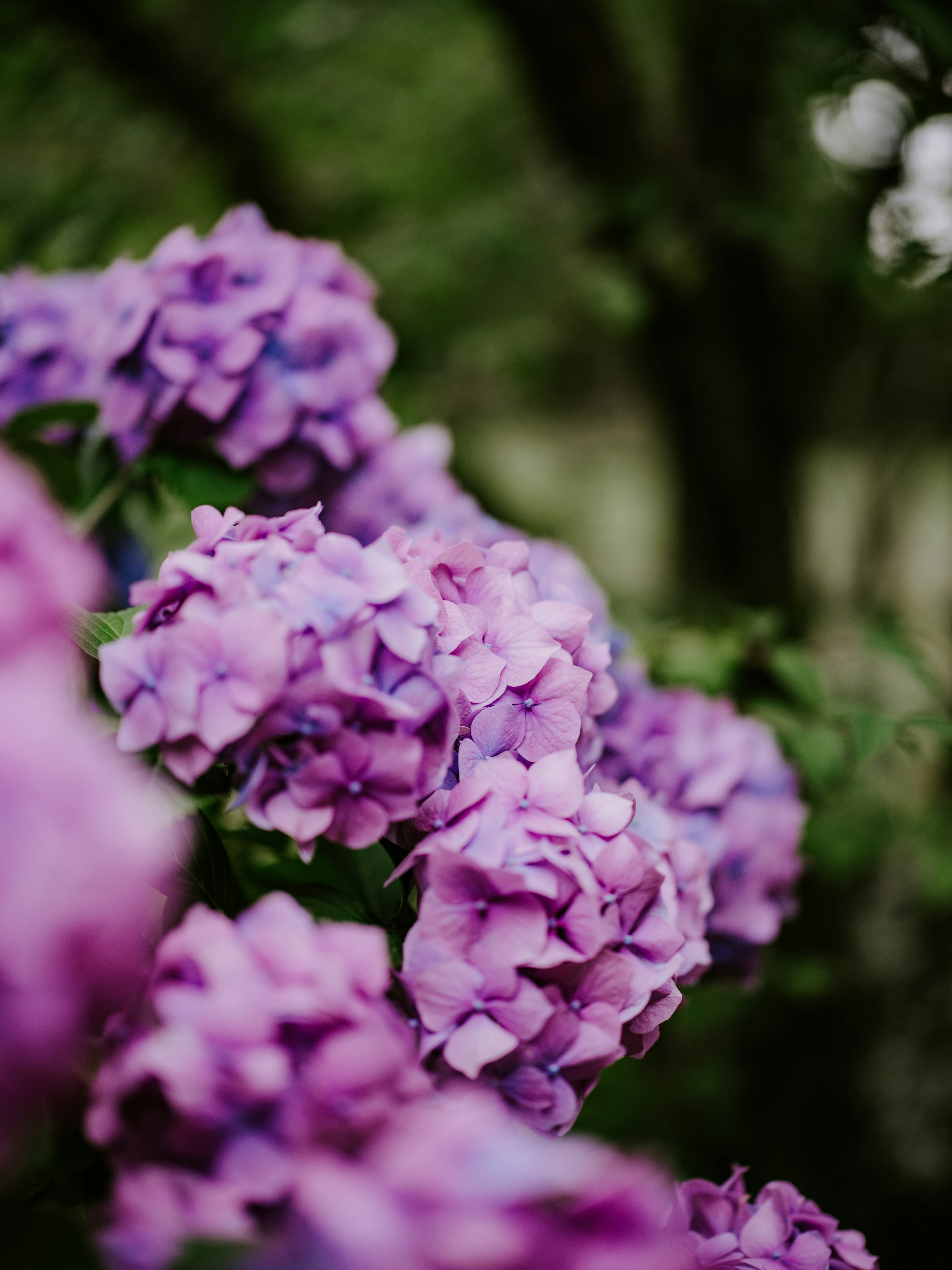 Photo by anniespratt