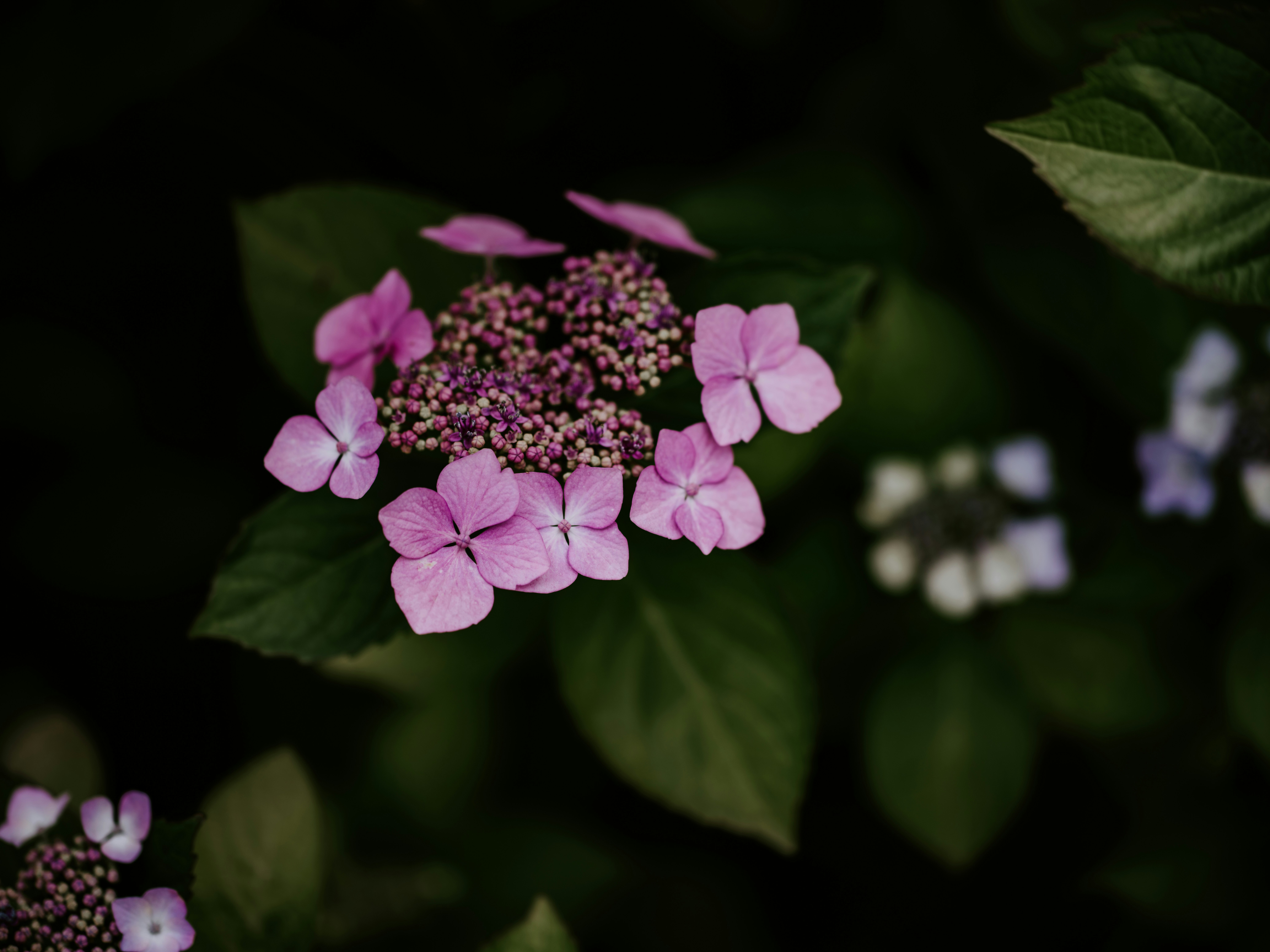 Photo by anniespratt