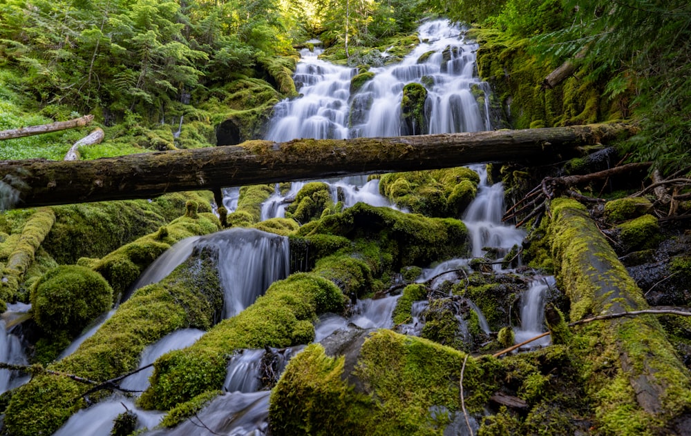 a small waterfall in the middle of a forest