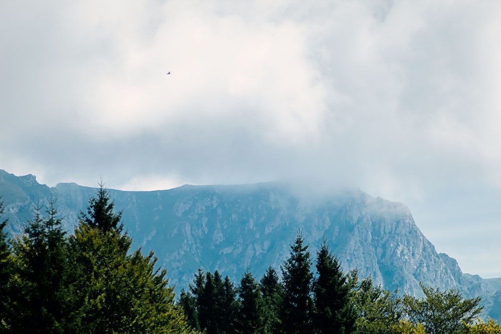 a view of a mountain with trees in the foreground