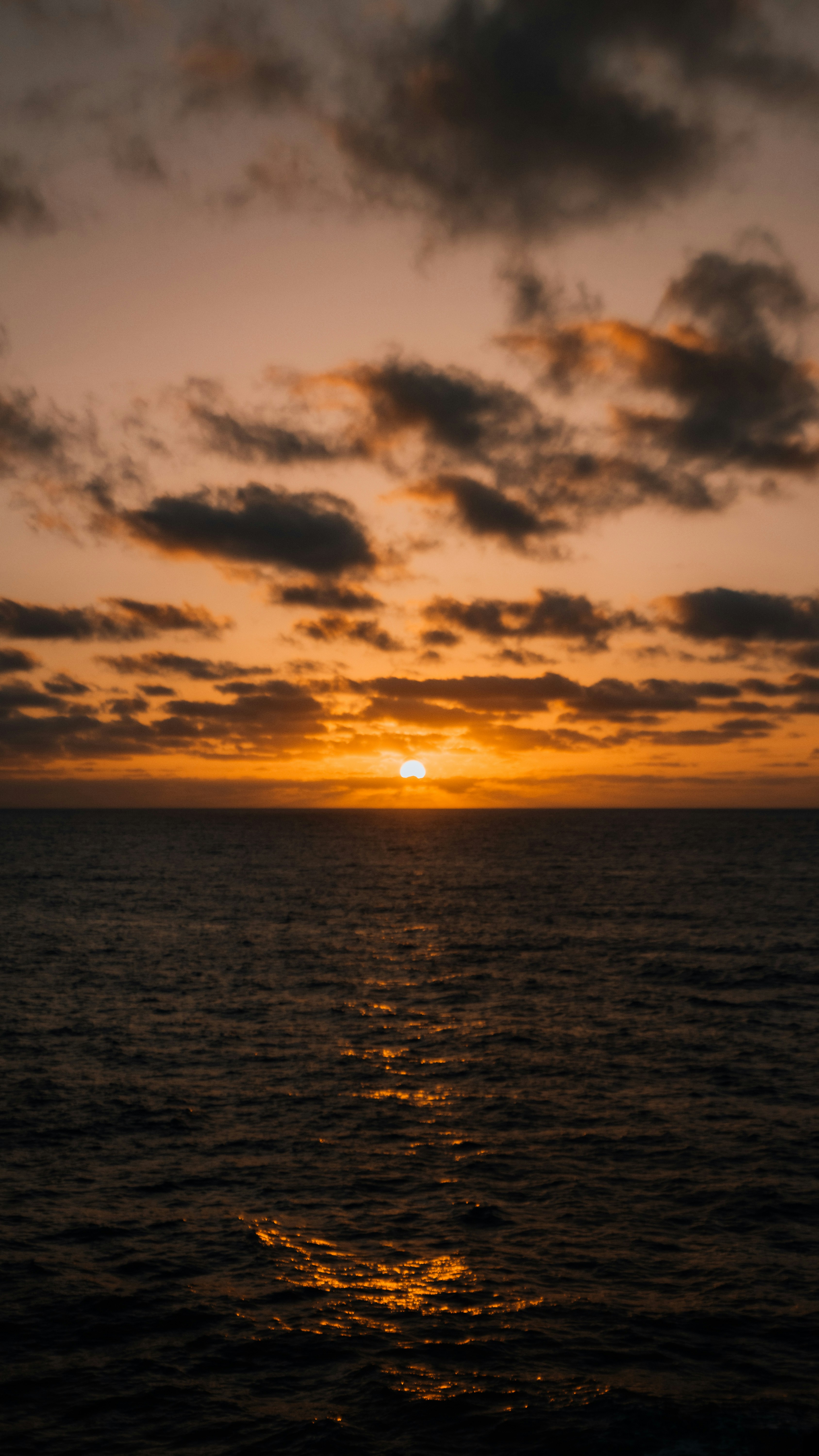 Photo by salaheregouane