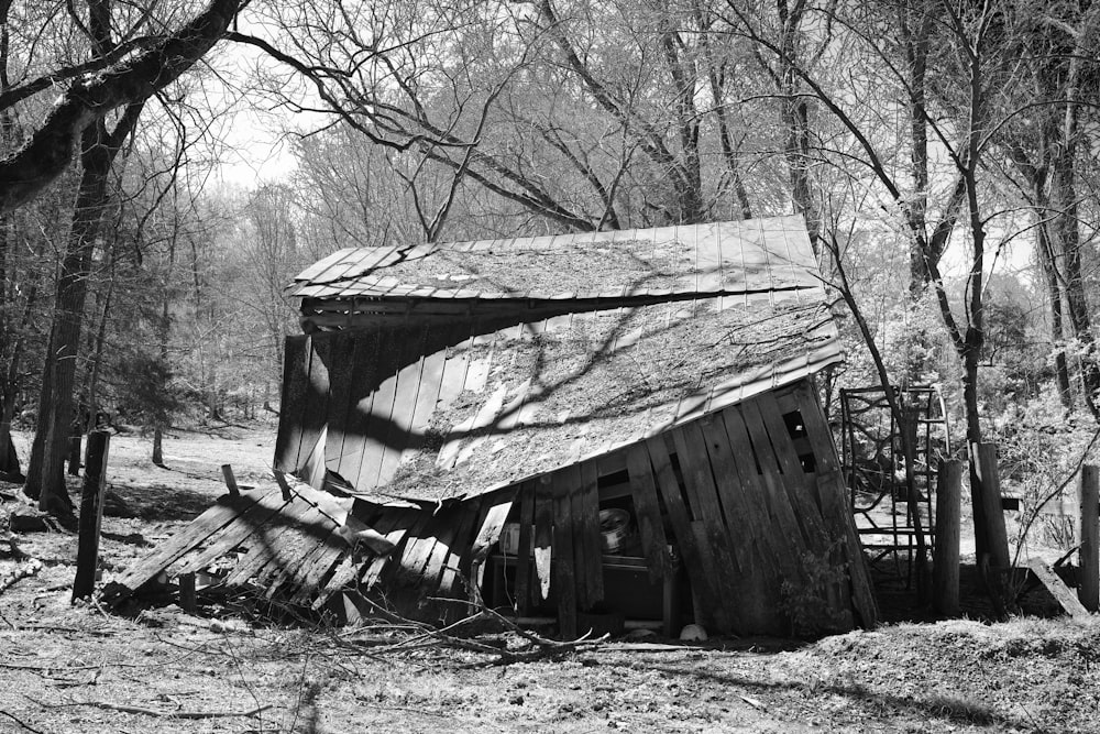a black and white photo of a barn in the woods