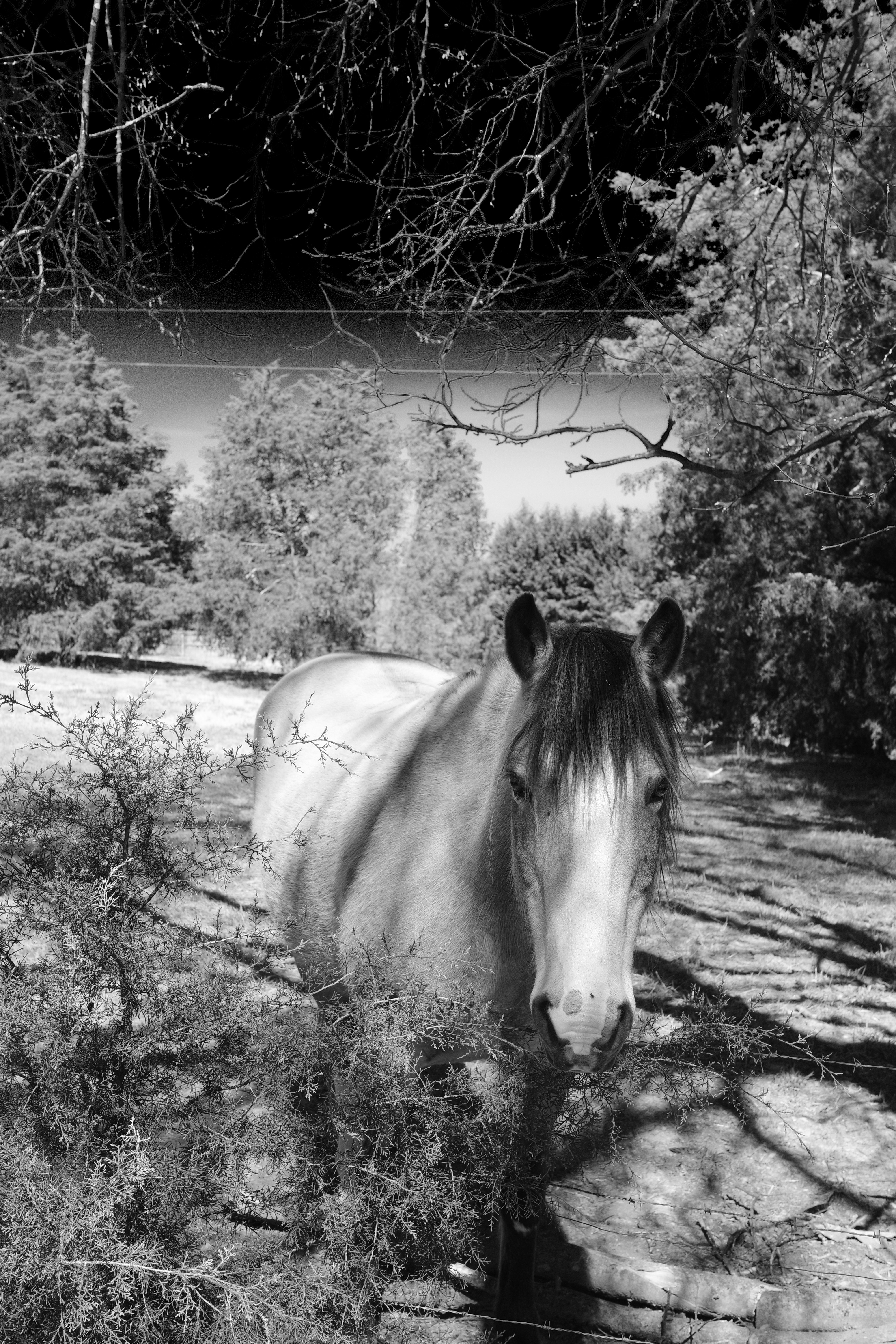 Photo by gylland