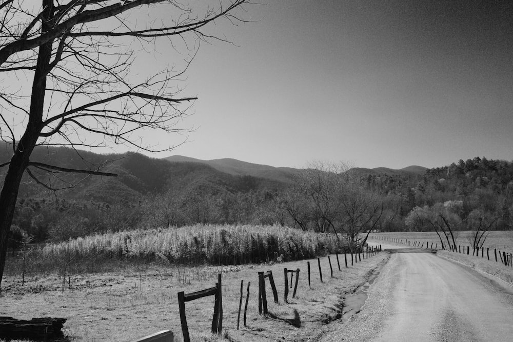 a black and white photo of a dirt road