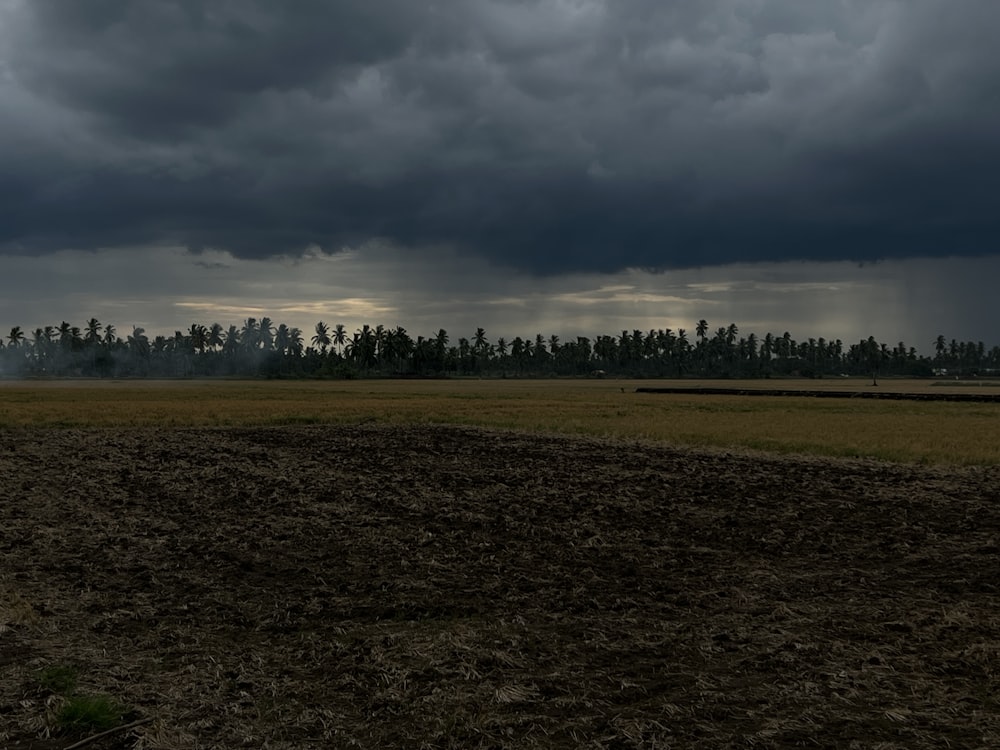 a field that has a lot of dirt in it