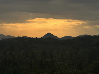 A breathtaking view of Sabah's lush rainforest and coastline under a golden sunset.