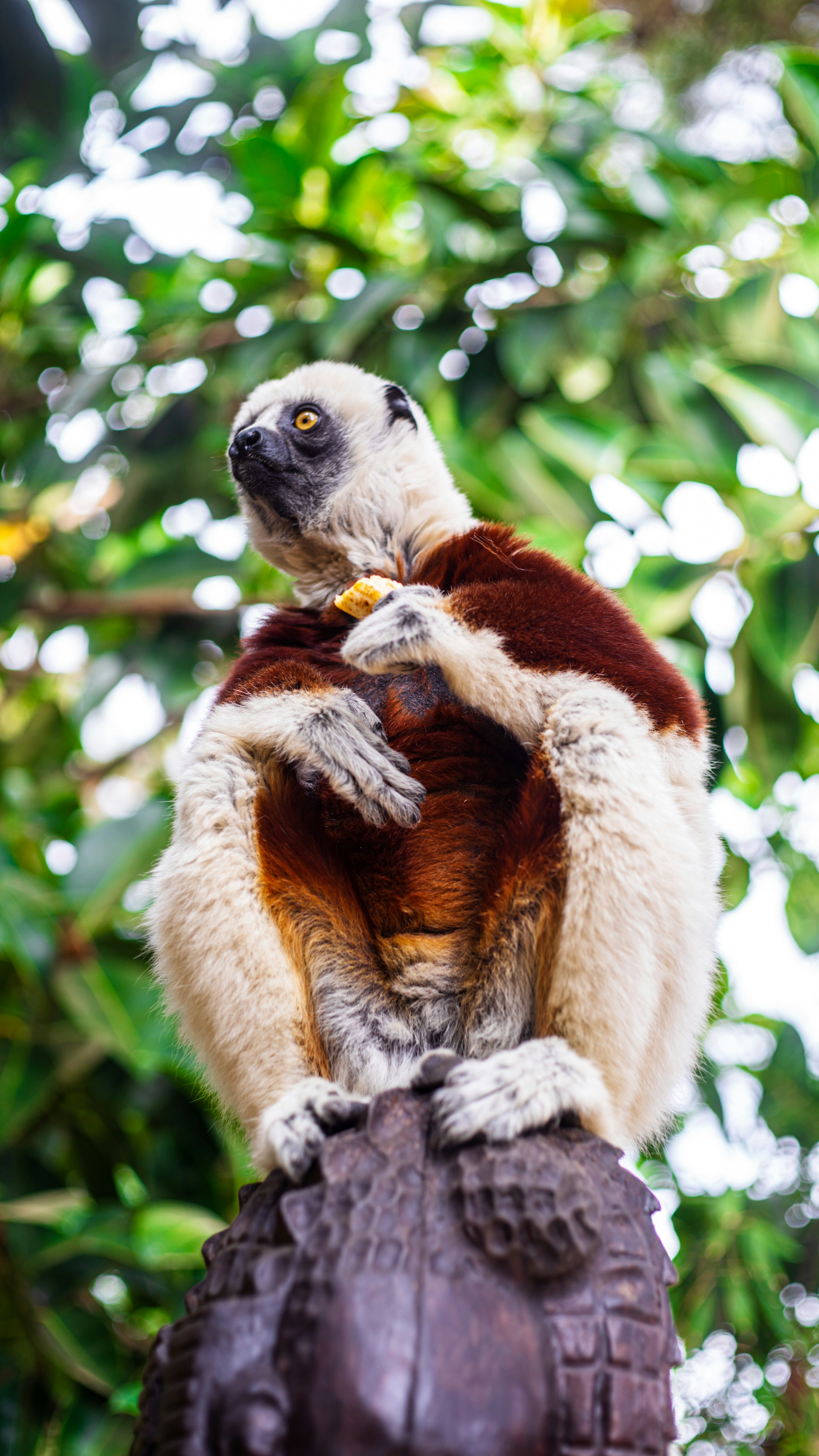 Photo by alekseyryan