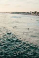A vast ocean scene with several surfers in the water waiting for waves. The coastline is visible in the background with buildings and palm trees lining the shore. The ocean water is a deep teal color and the sky appears slightly overcast, casting a soft glow.