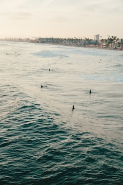 A vast ocean scene with several surfers in the water waiting for waves. The coastline is visible in the background with buildings and palm trees lining the shore. The ocean water is a deep teal color and the sky appears slightly overcast, casting a soft glow.