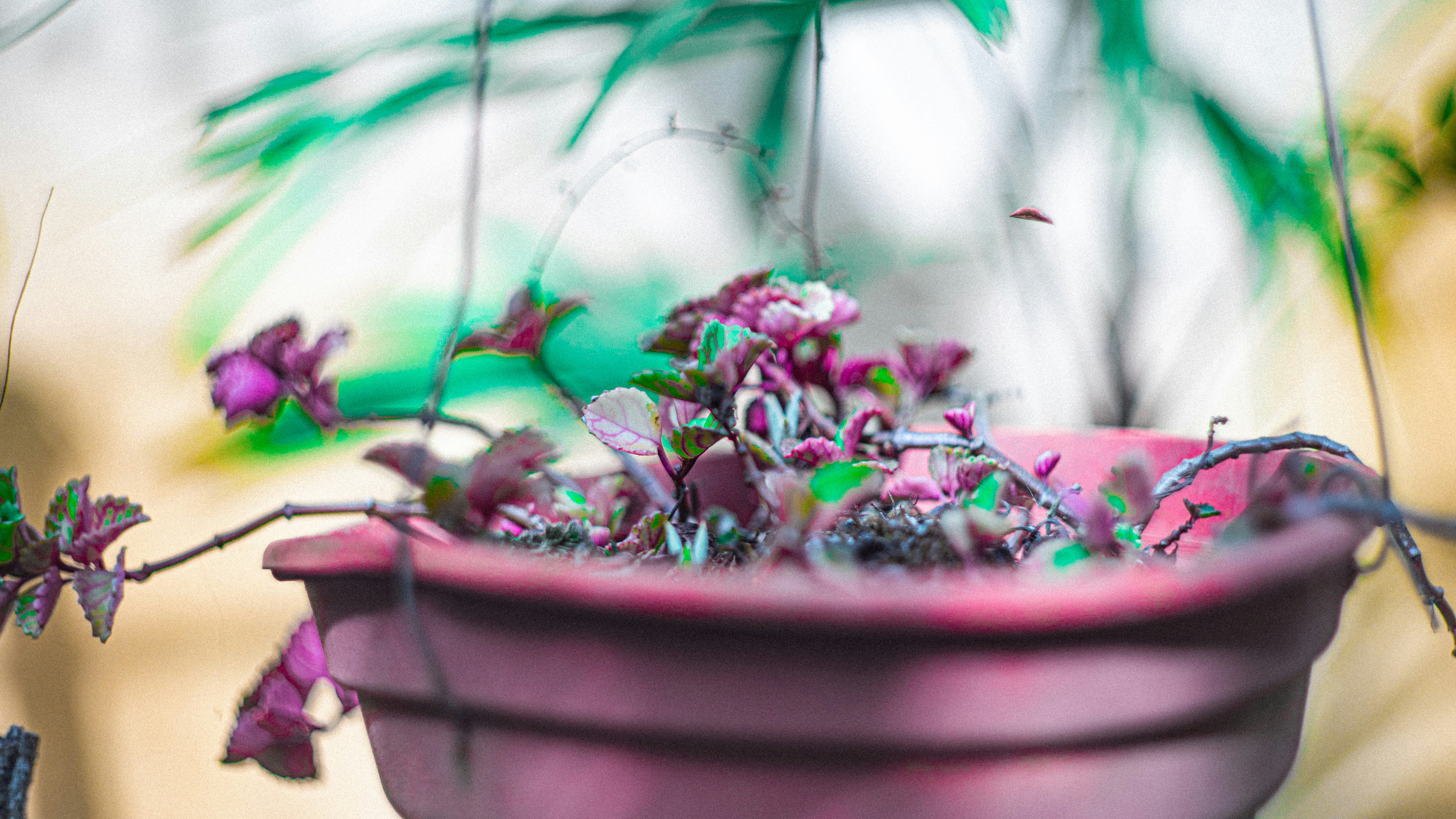 Photo by alekseyryan