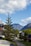 A tree with distinctive branch patterns stands in a quiet, suburban neighborhood bordered by lush greenery. The background features majestic mountains under a partly cloudy sky, with residential houses lining the street.