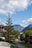 A tree with distinctive branch patterns stands in a quiet, suburban neighborhood bordered by lush greenery. The background features majestic mountains under a partly cloudy sky, with residential houses lining the street.