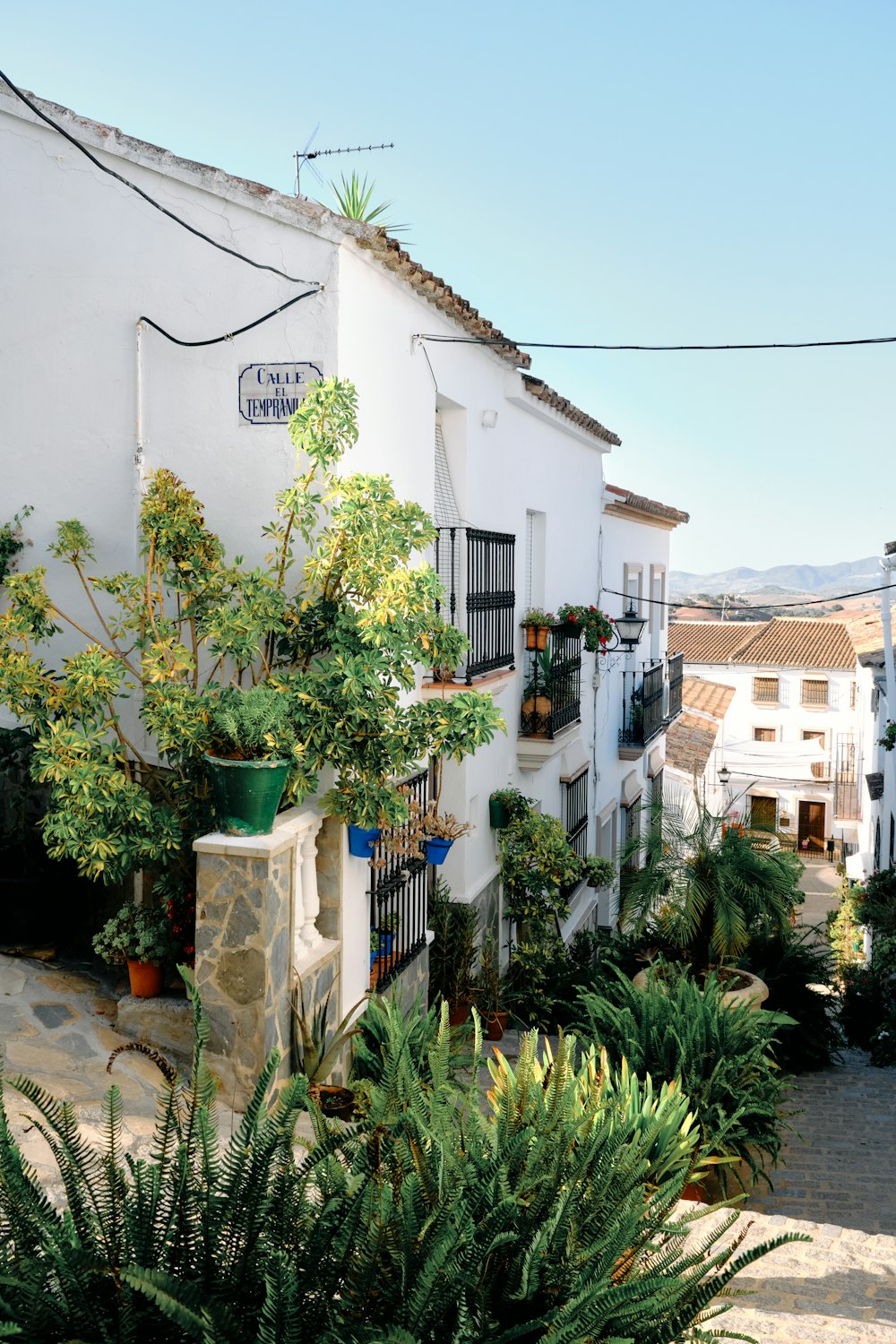 a white building with a lot of plants in front of it