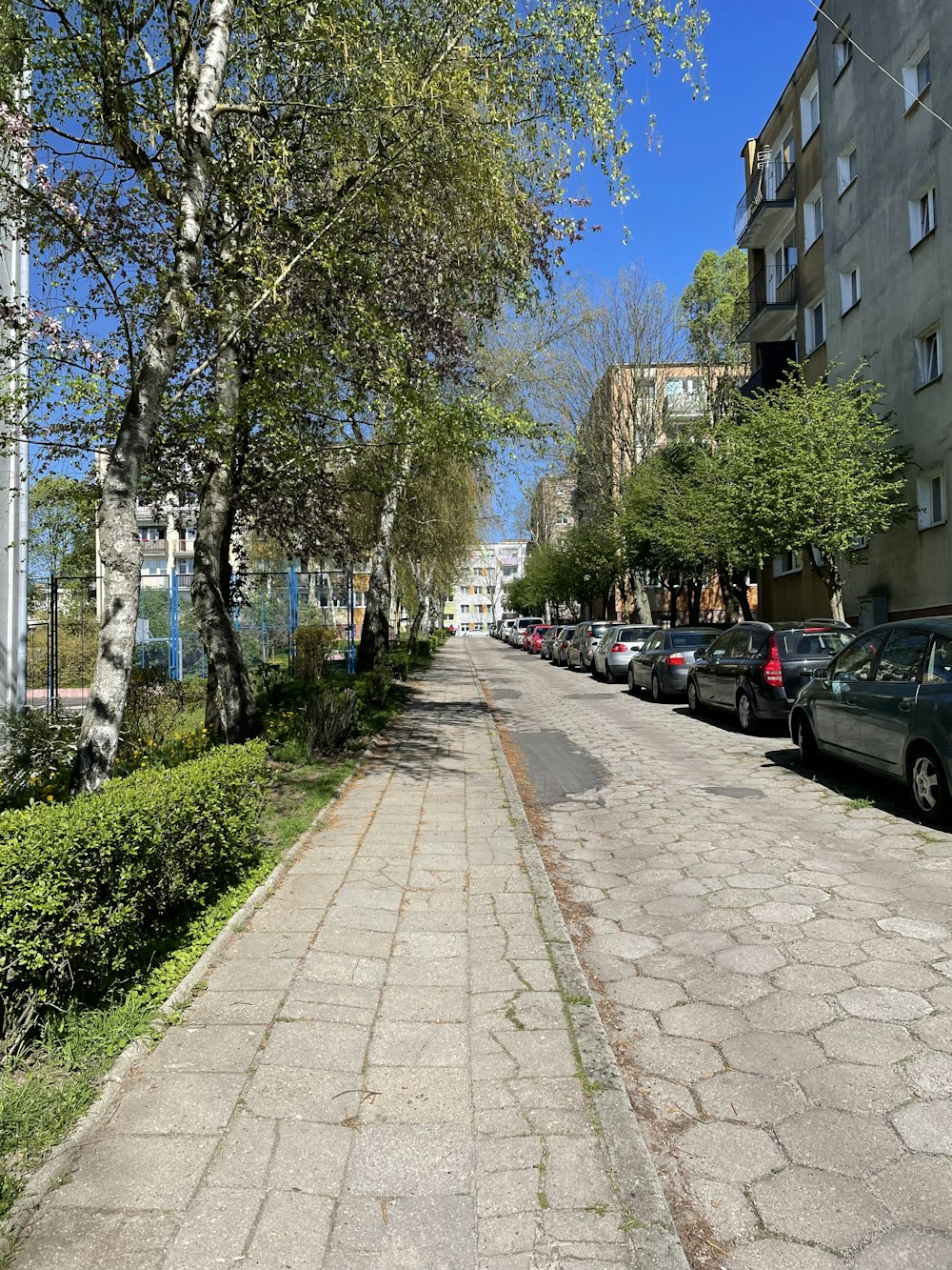 a street lined with parked cars next to tall buildings