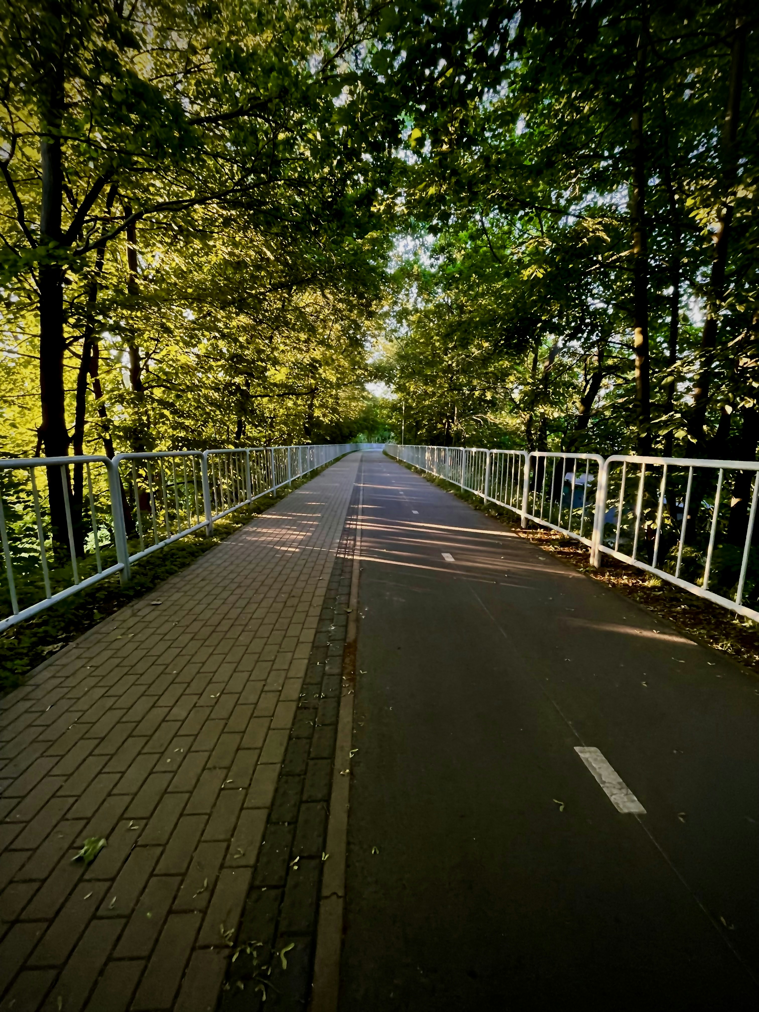 a paved road with a white fence and trees