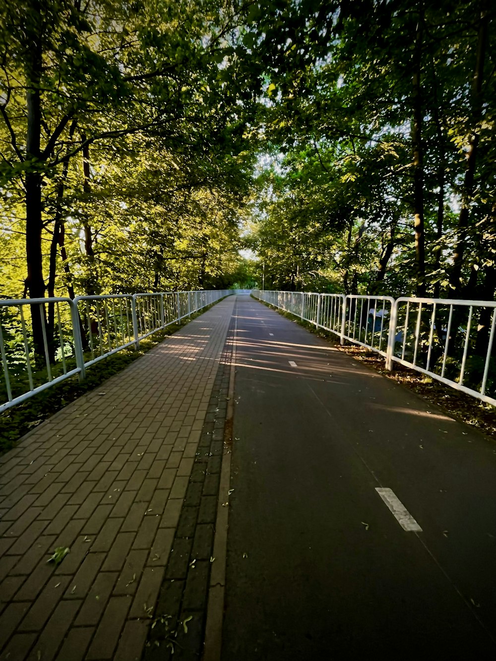 a paved road with a white fence and trees