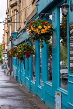 Colorful hanging baskets brightening a downtown street corner.