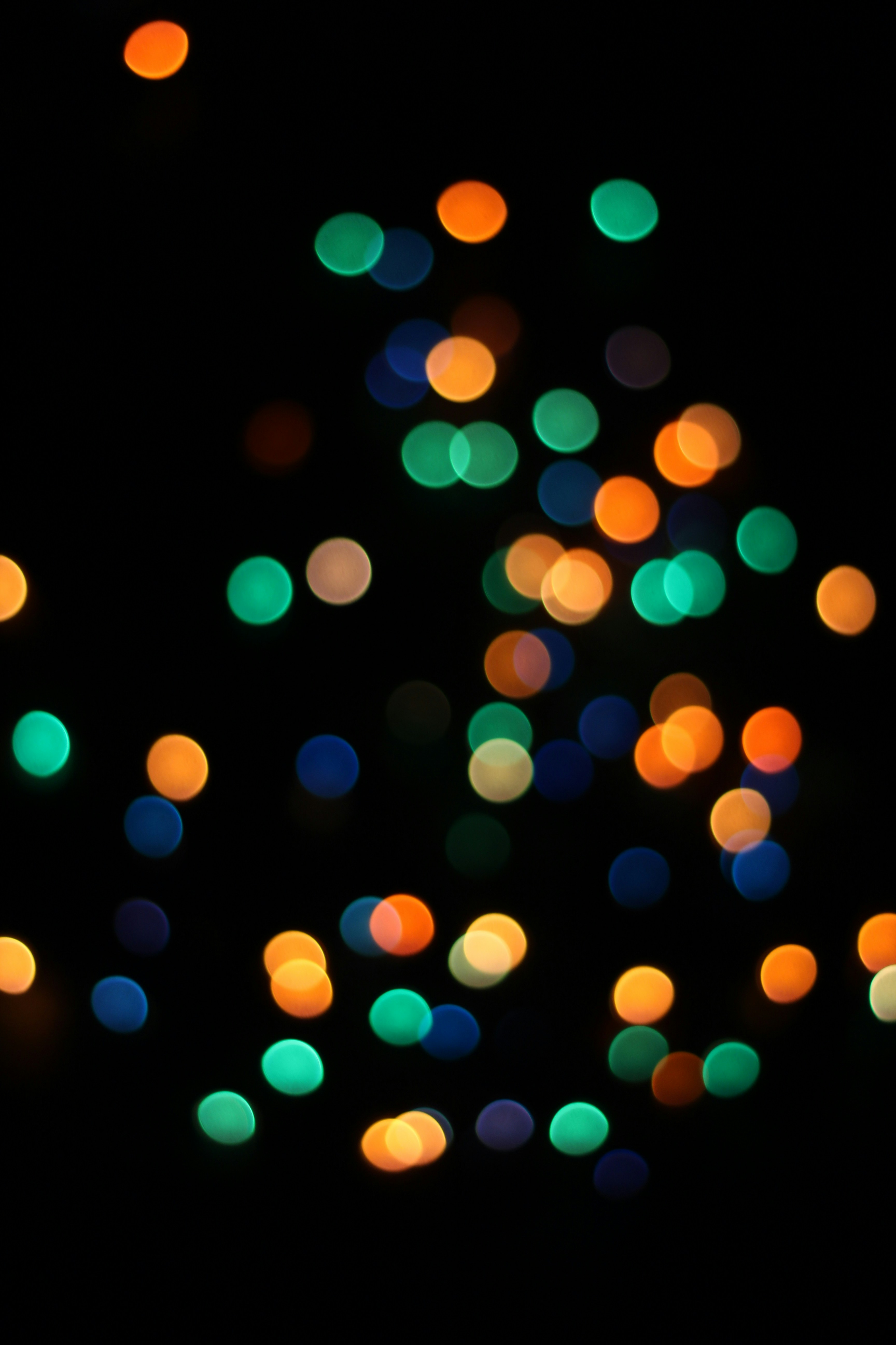 Photo by toushifalam