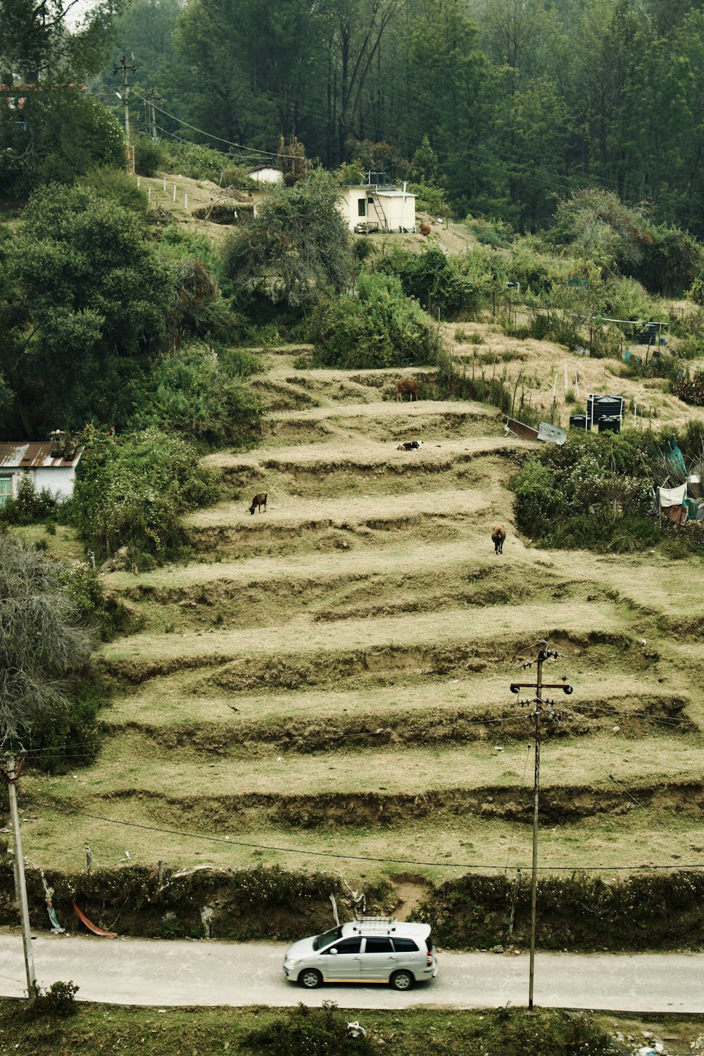 a car driving down a road next to a lush green hillside