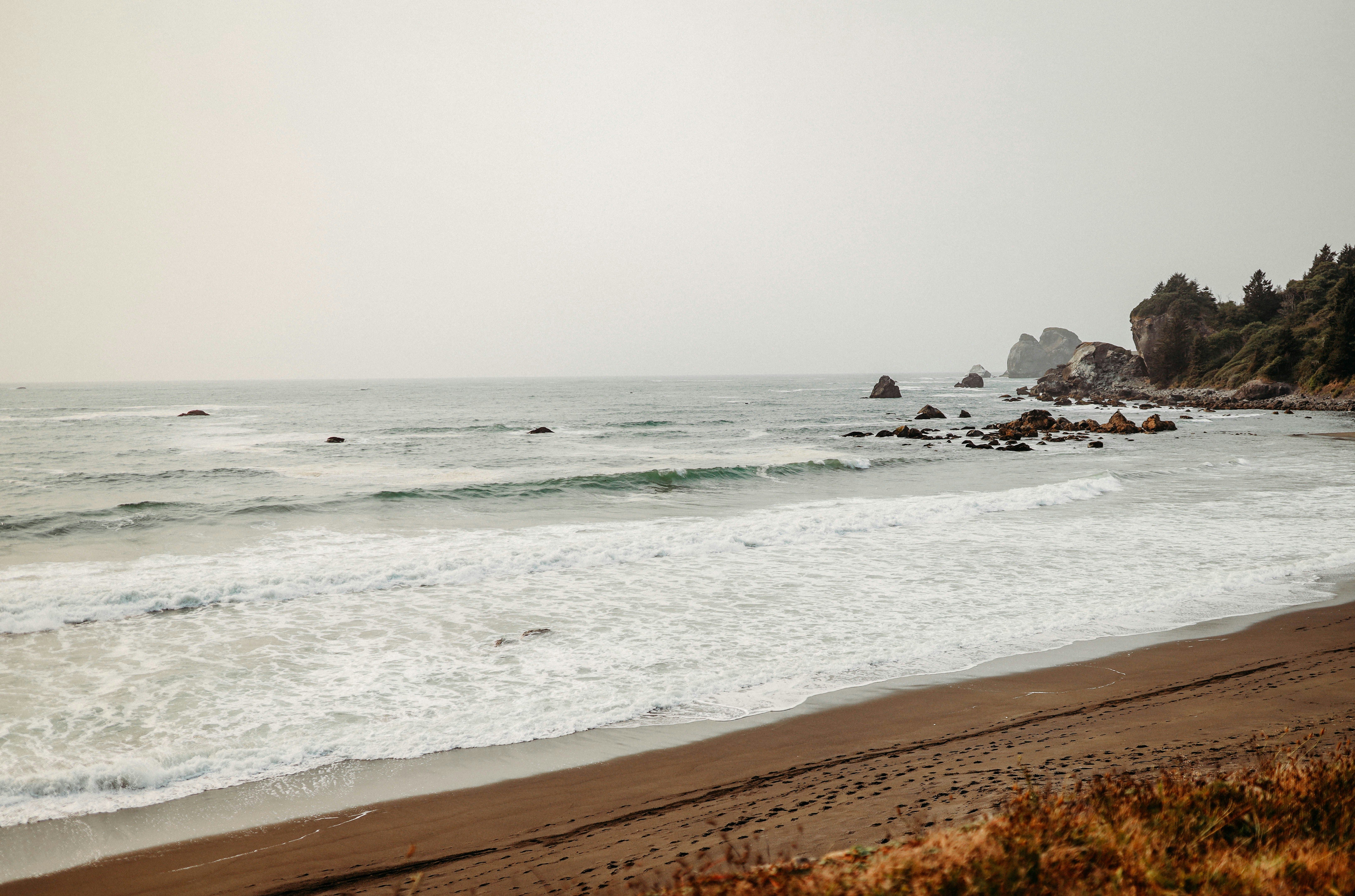 海岸から眺める海