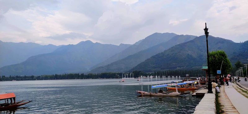 Best Walking Paths and Streets in Srinagar to Explore on Foot