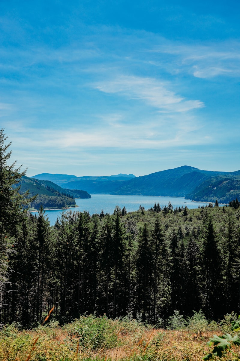 Calm lake water with soft ripples